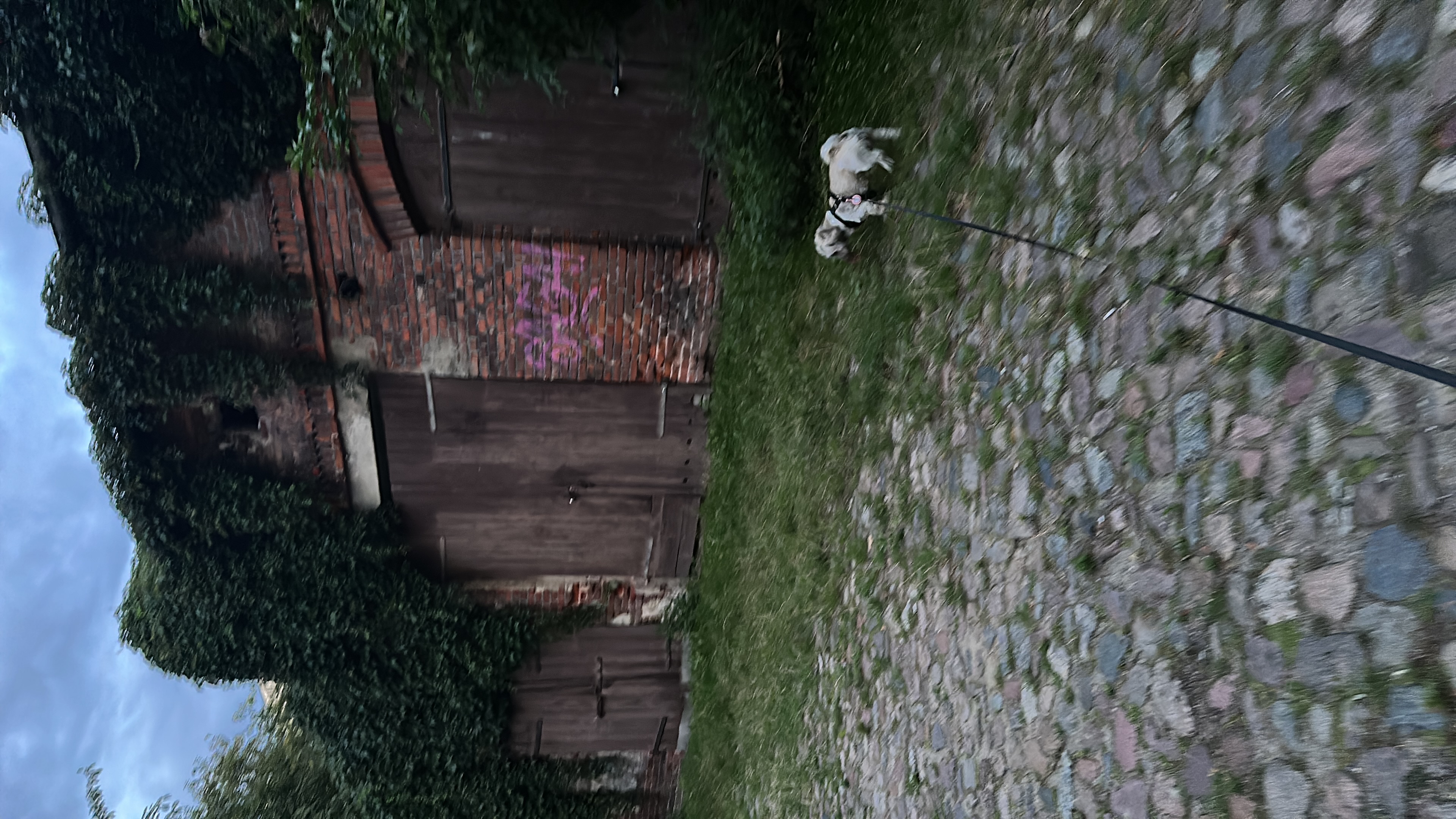 image-20