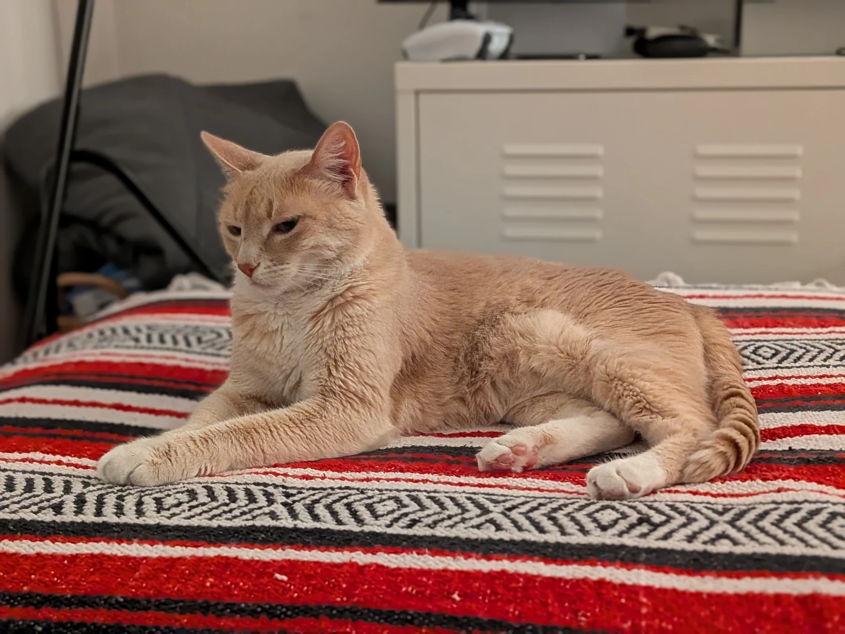 image-12