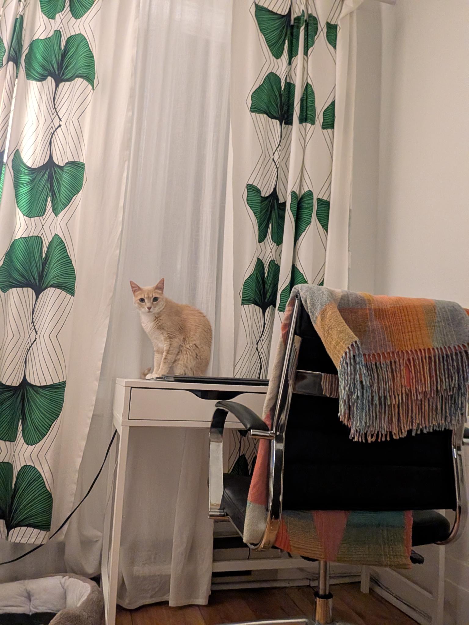 image-5