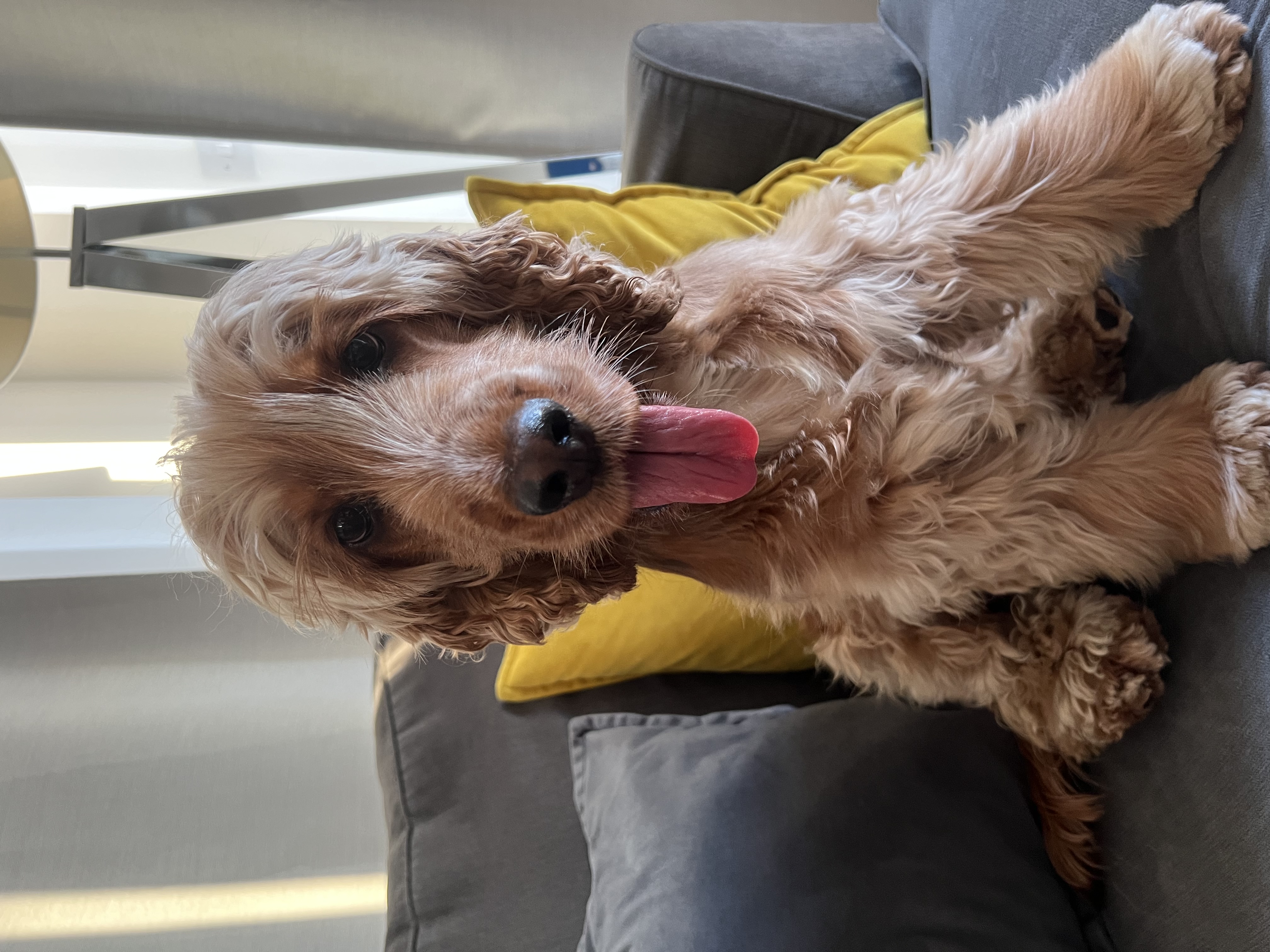 image-22