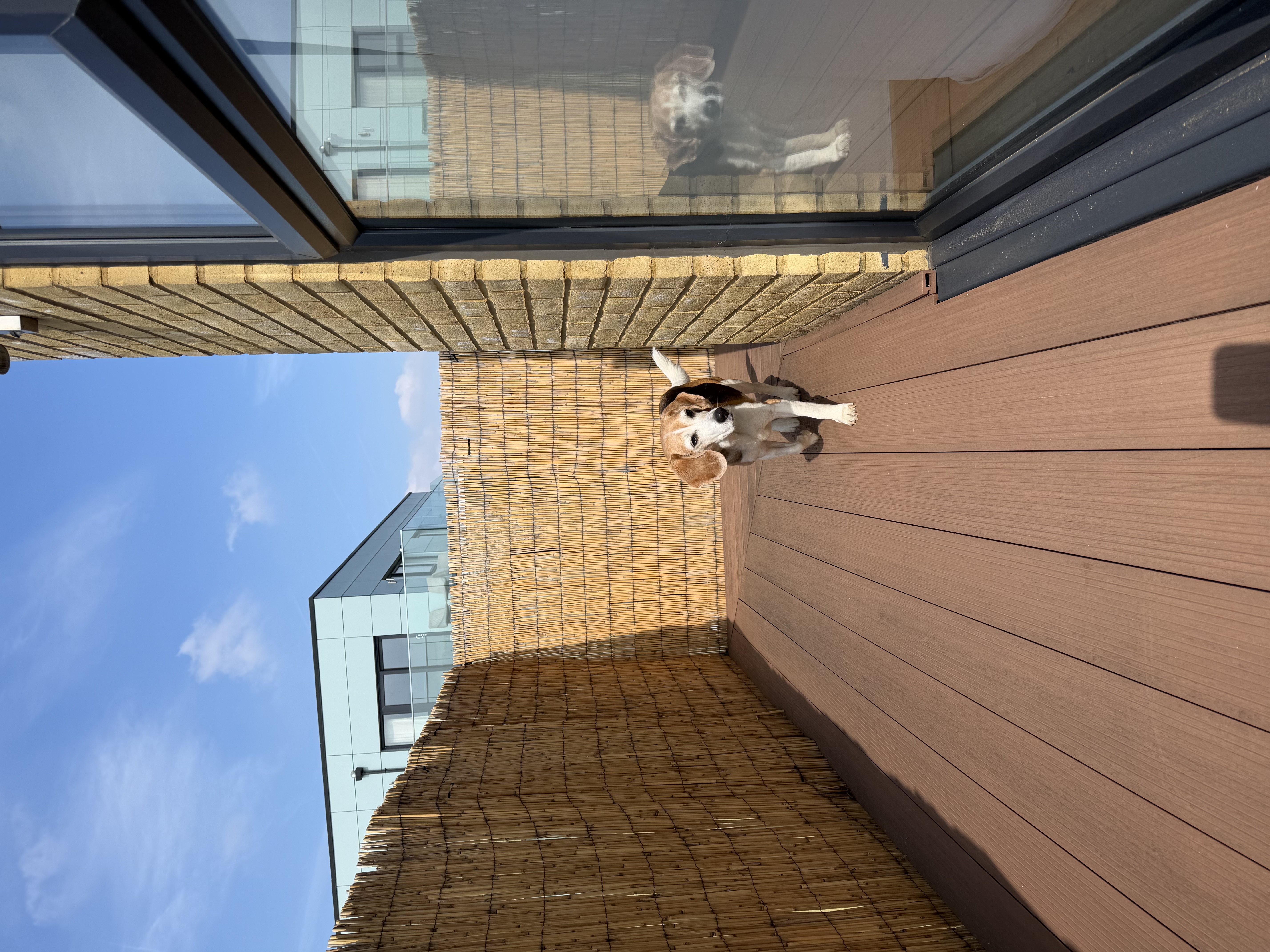 image-16
