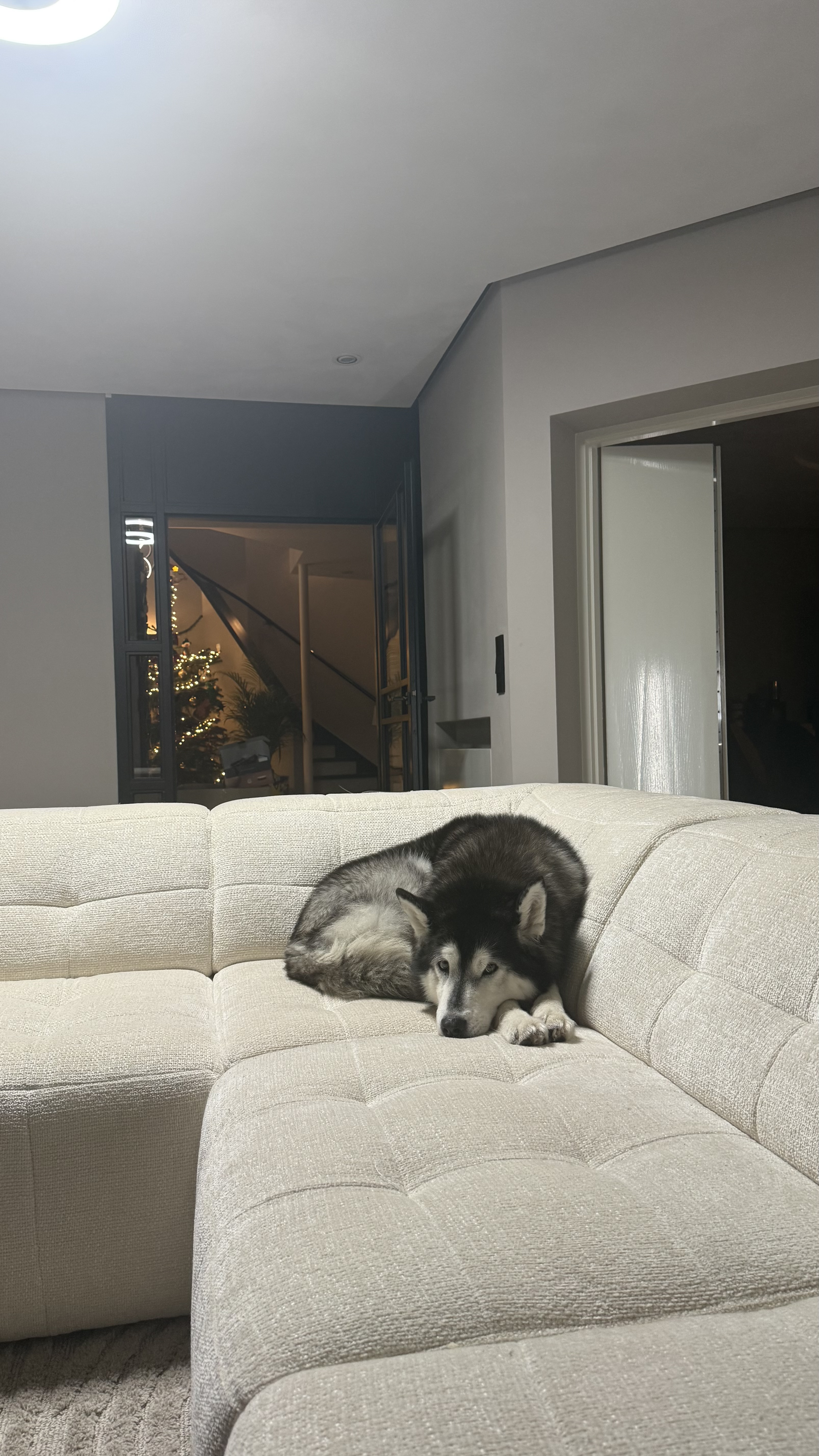 image-15