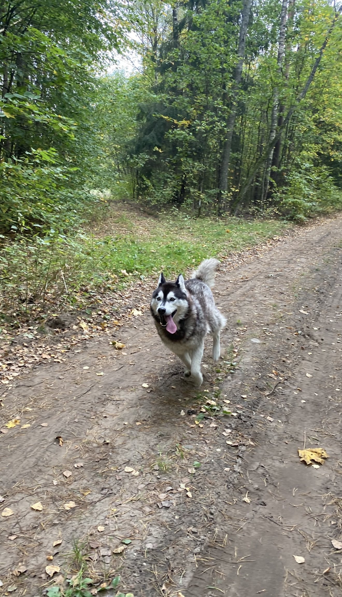 image-11