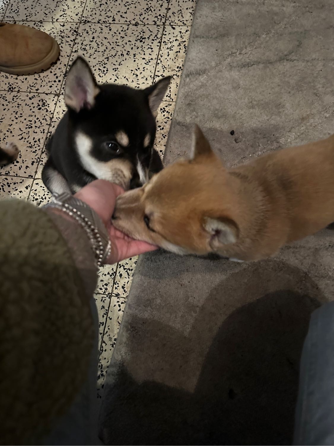 image-6
