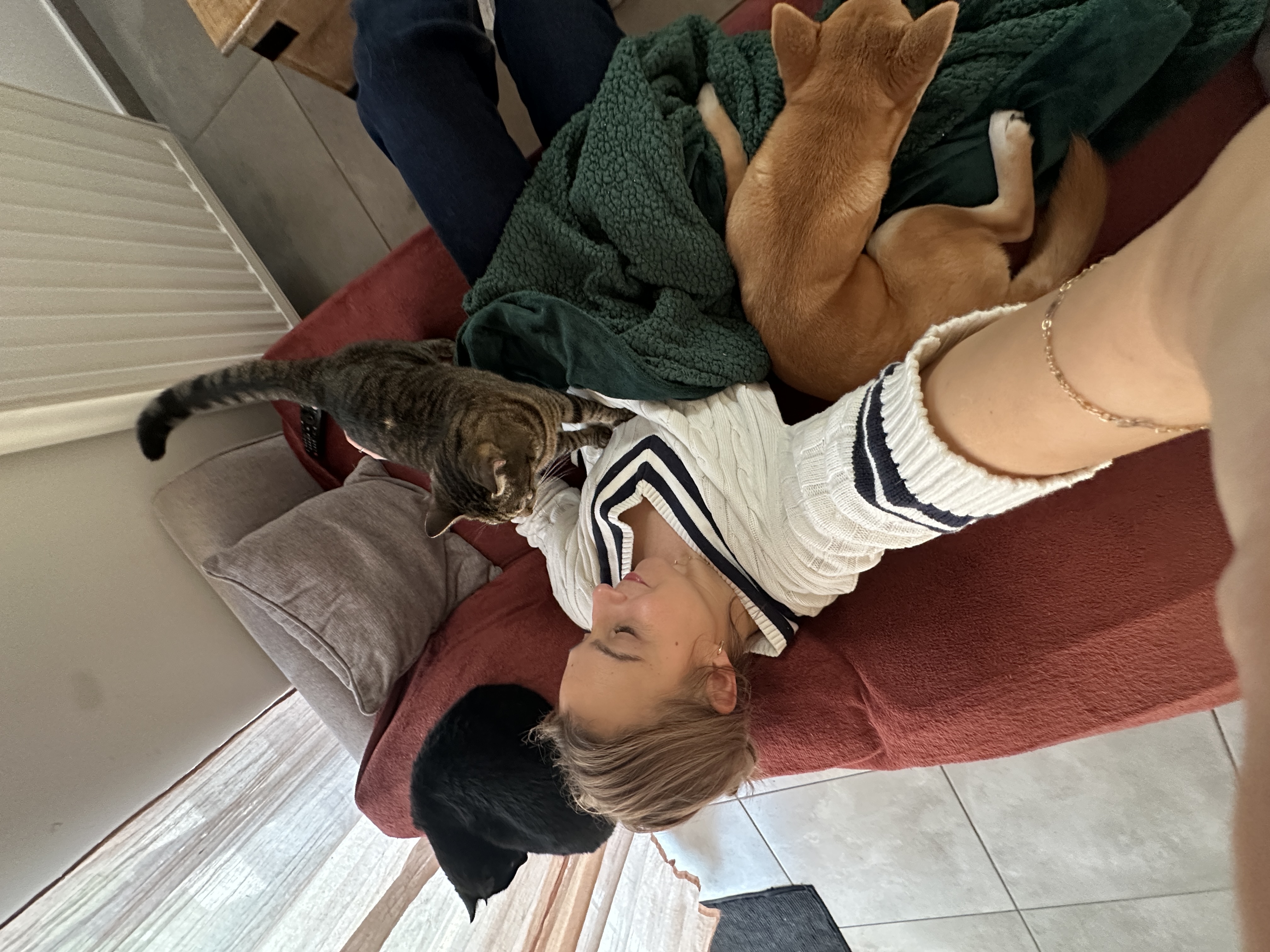 image-12