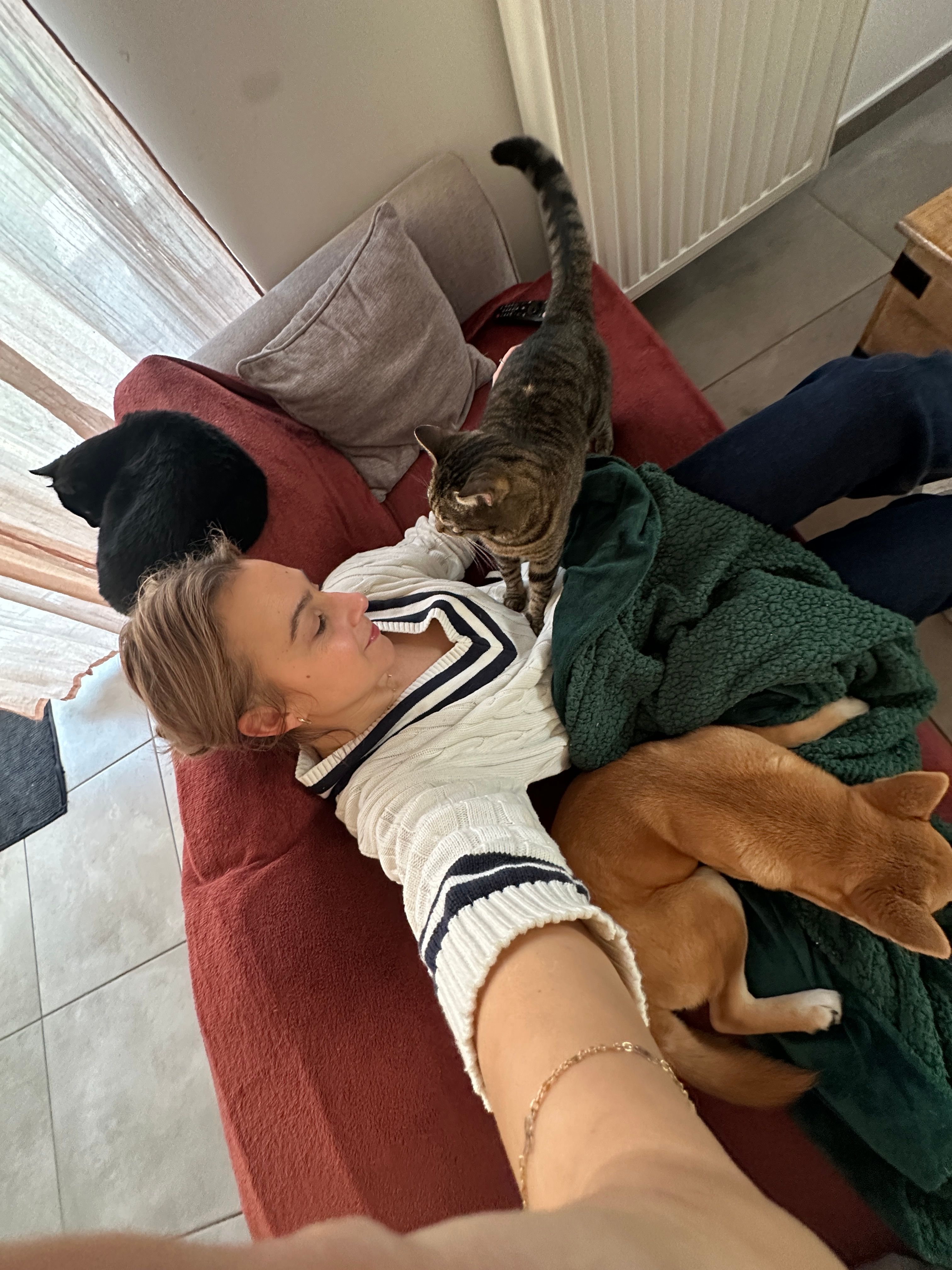 image-12