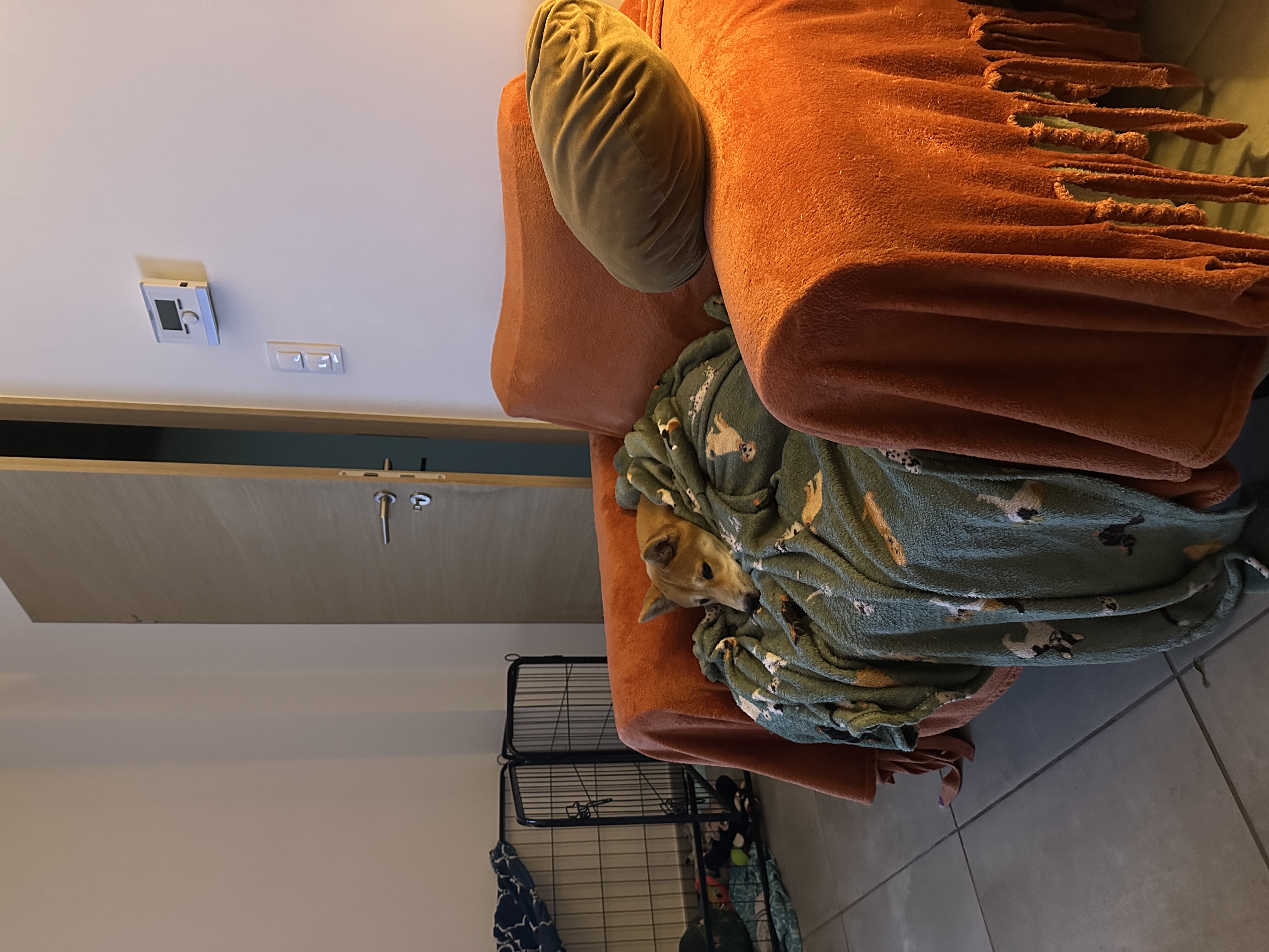 image-11
