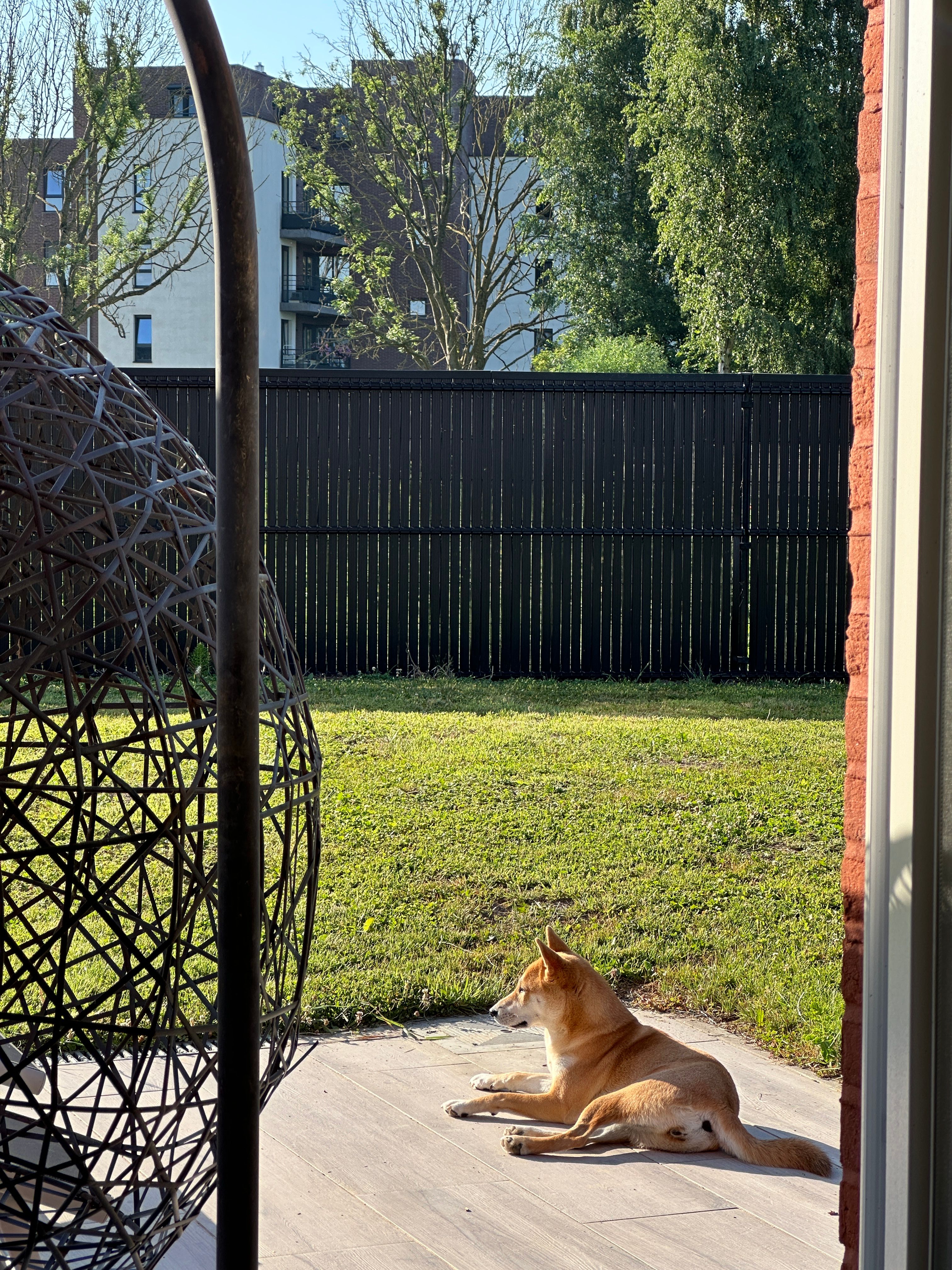 image-17