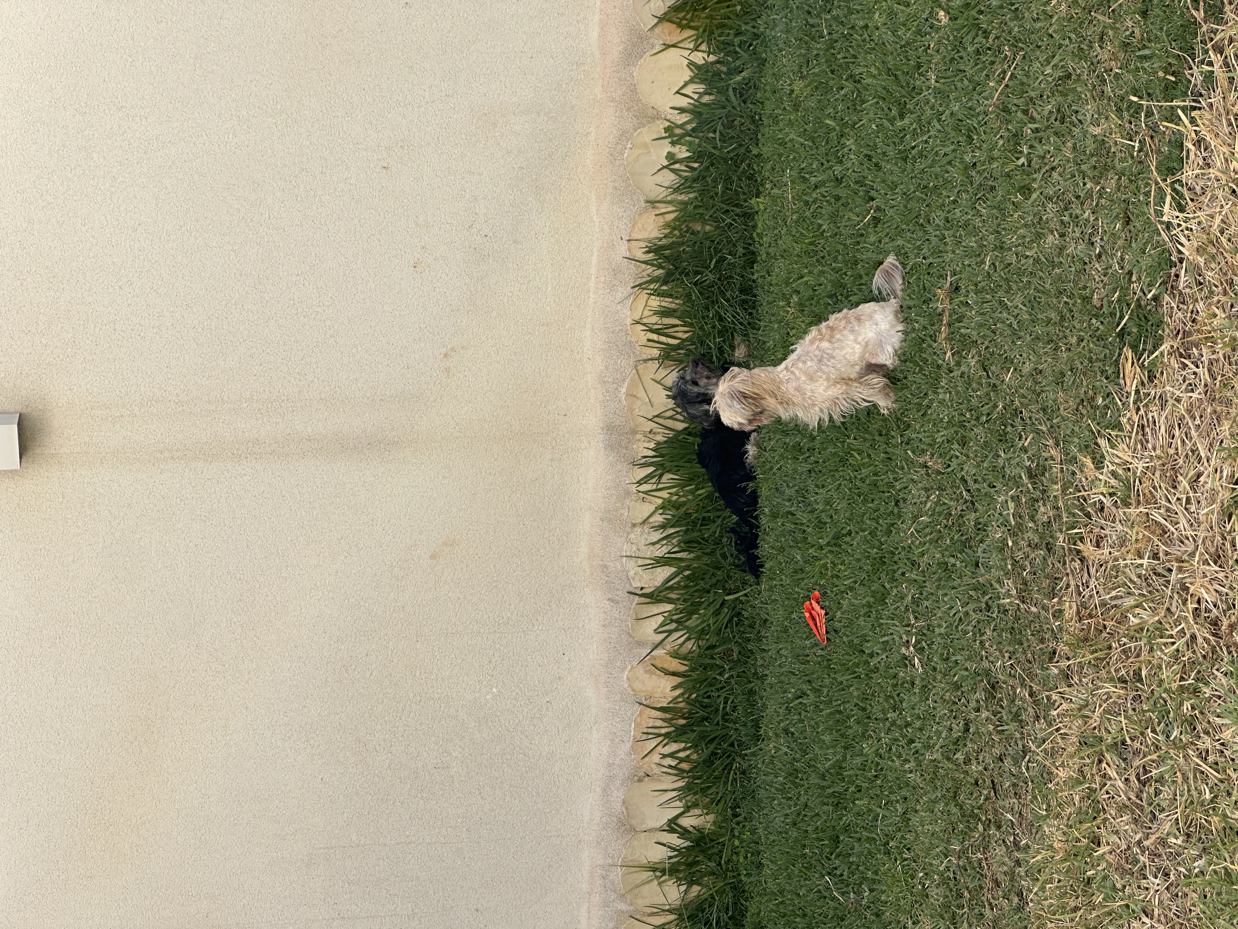 image-8