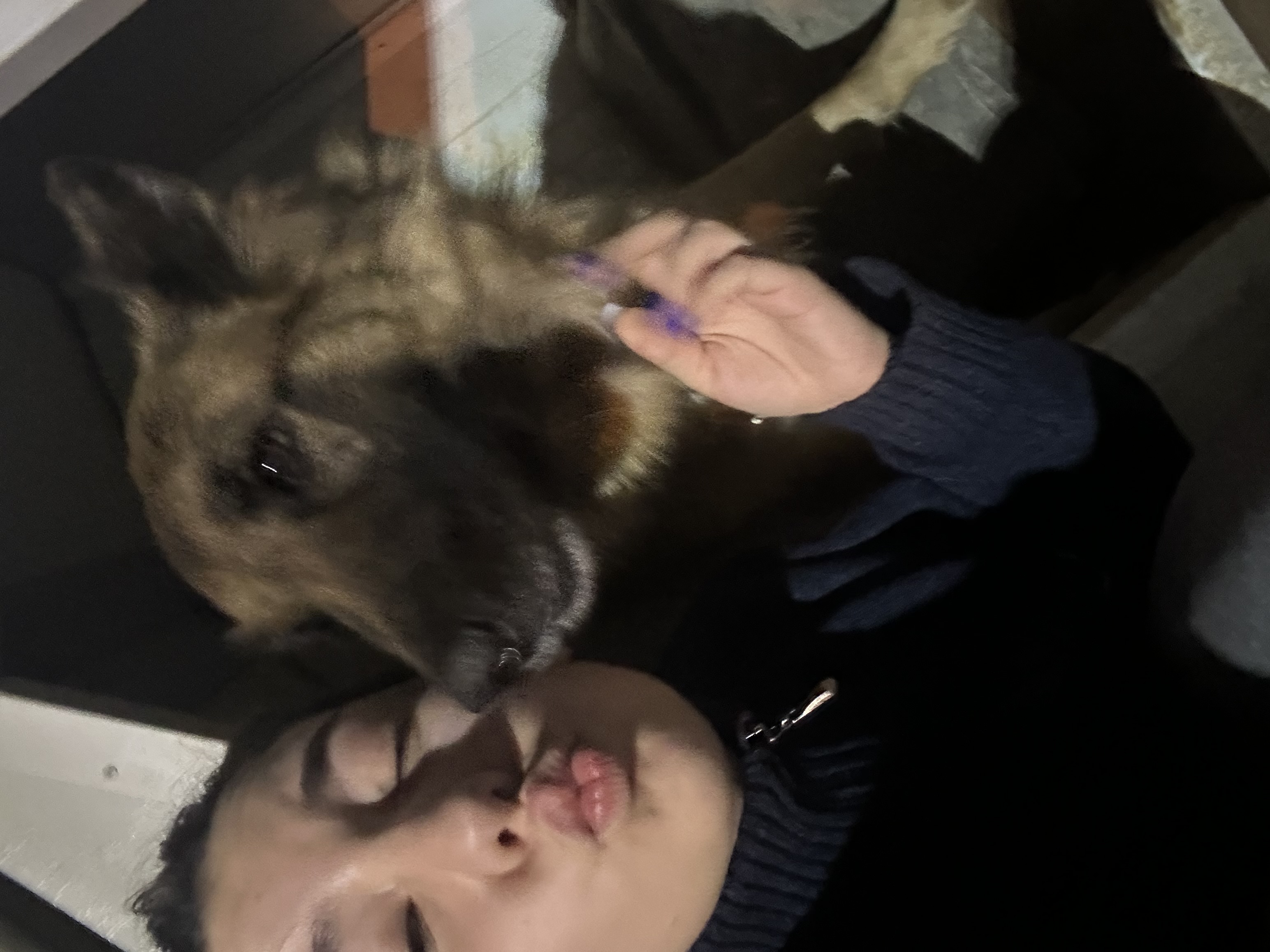 image-7