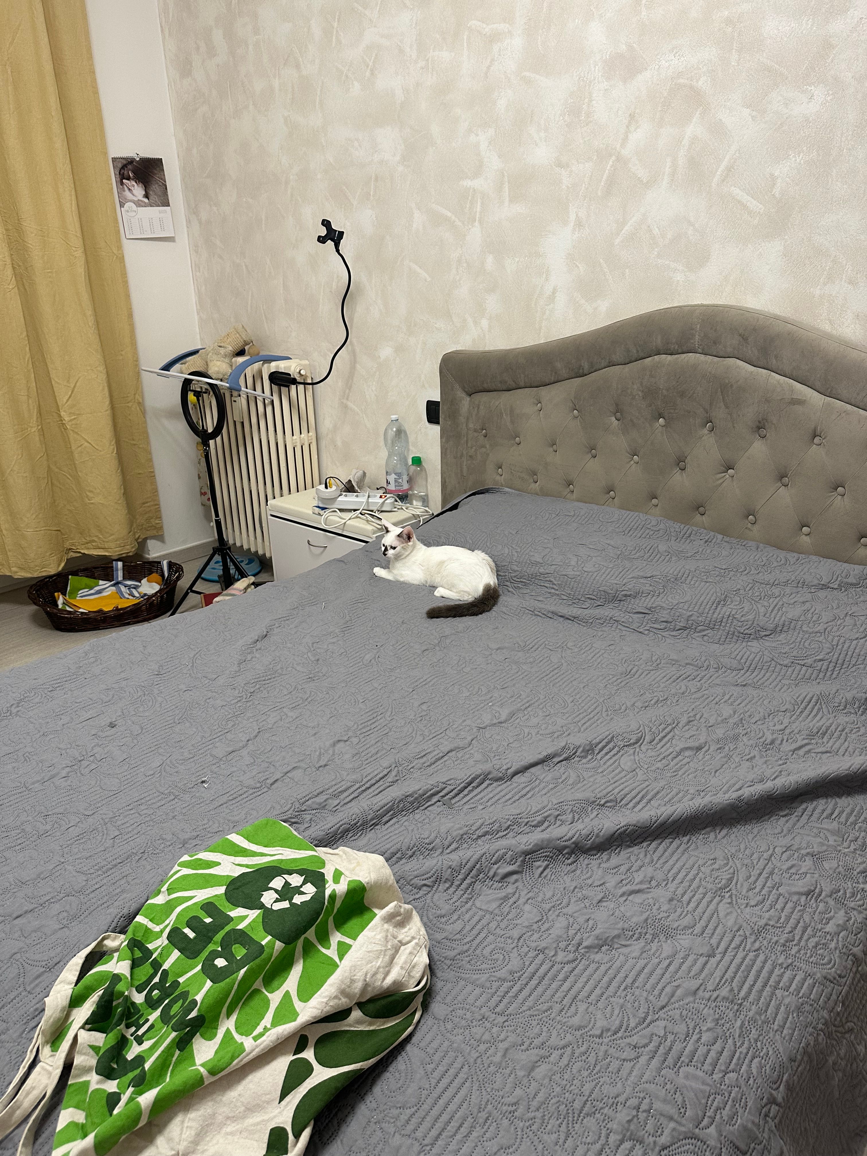 image-29