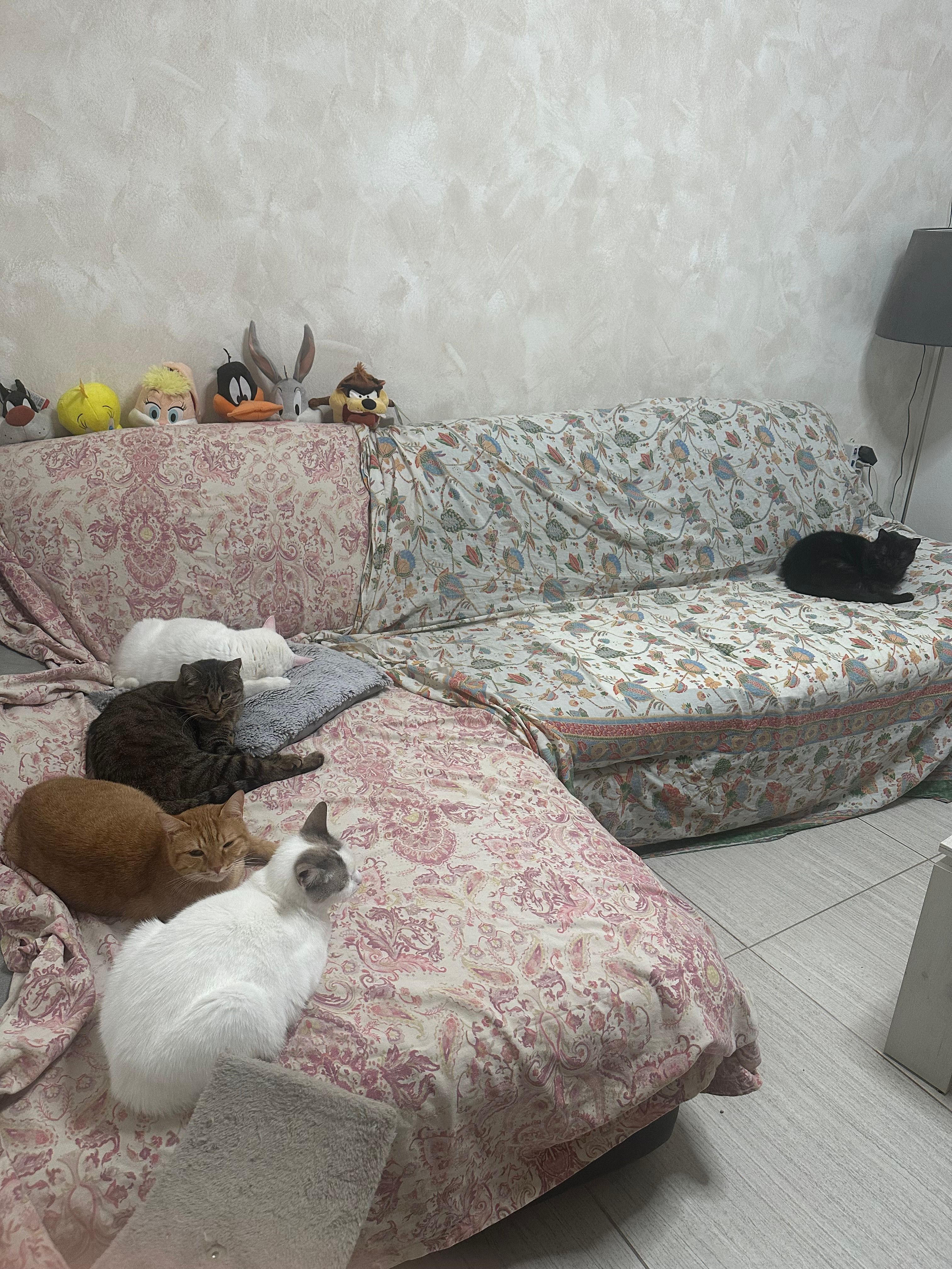 image-28