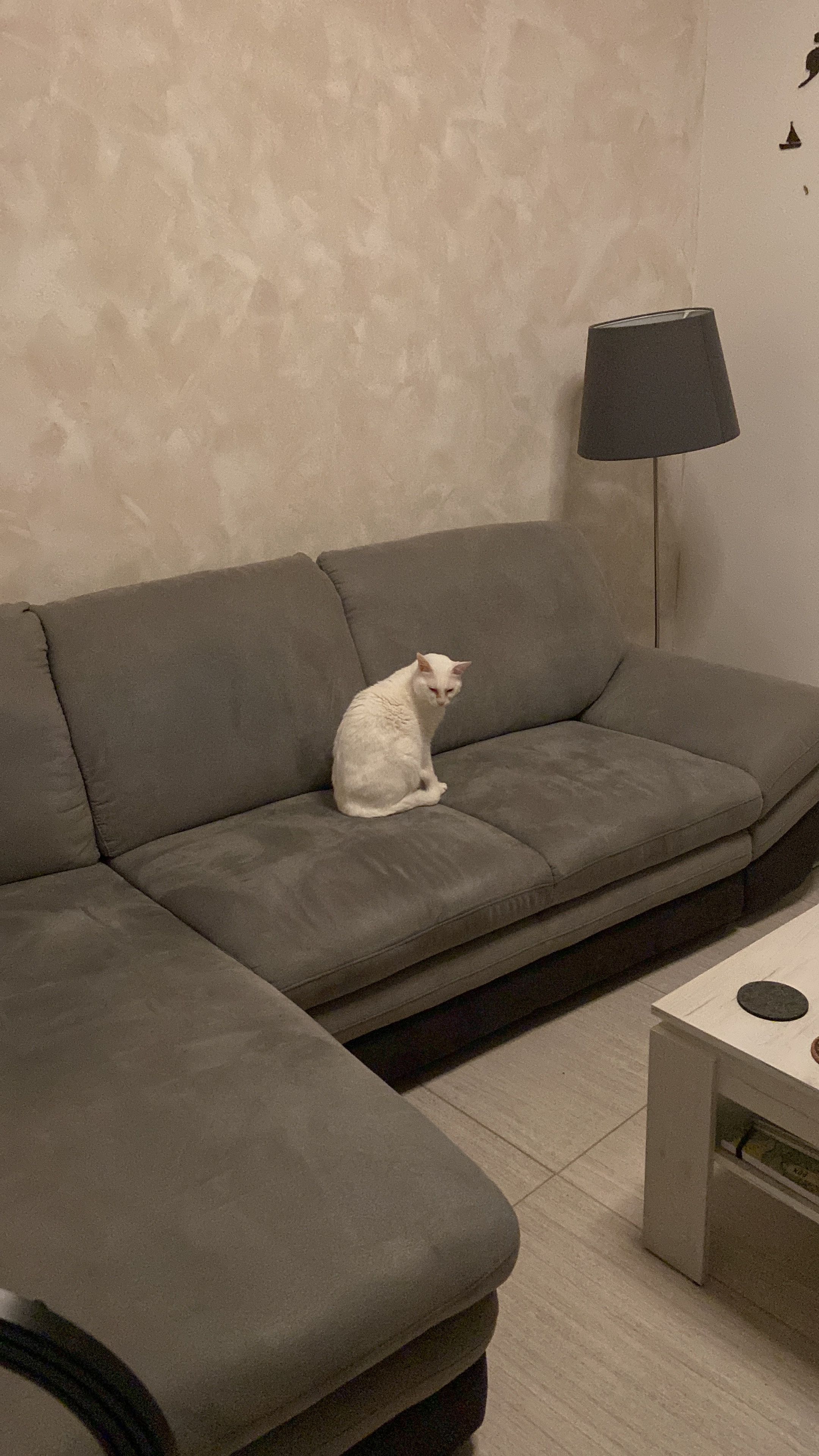 image-27