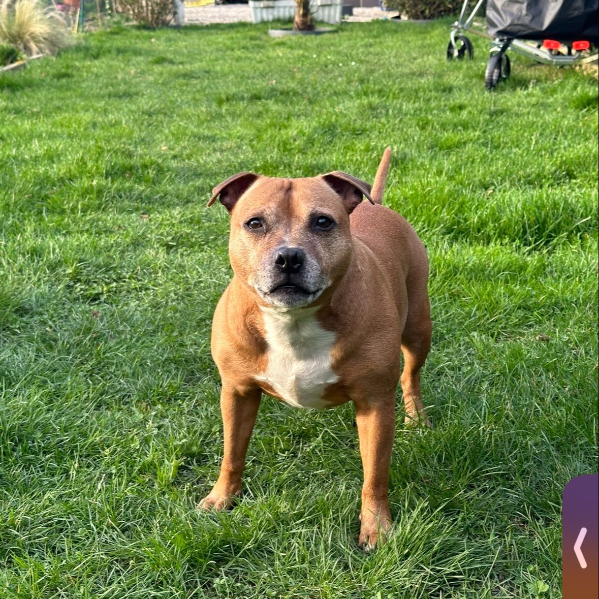 Max