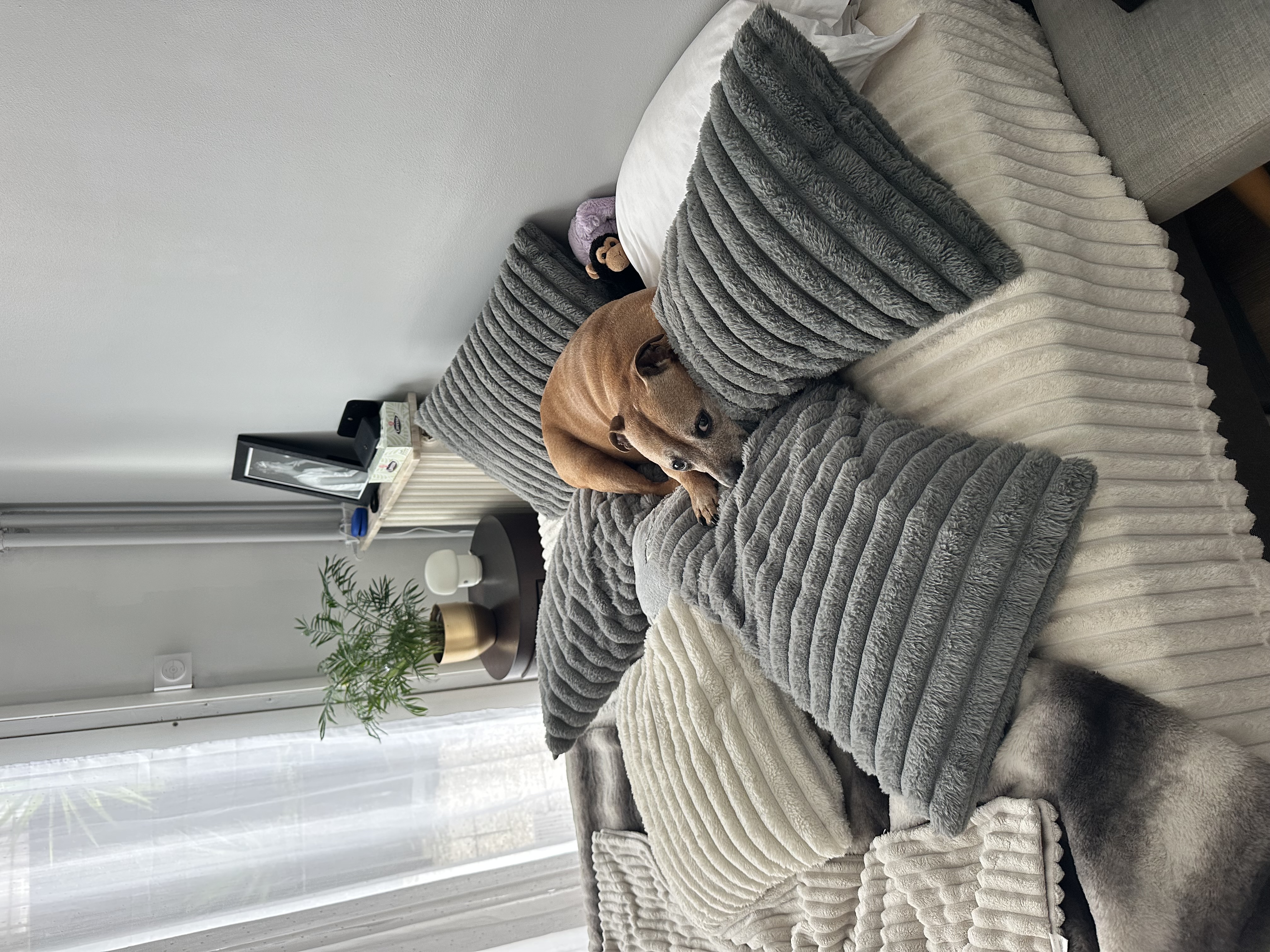 image-9