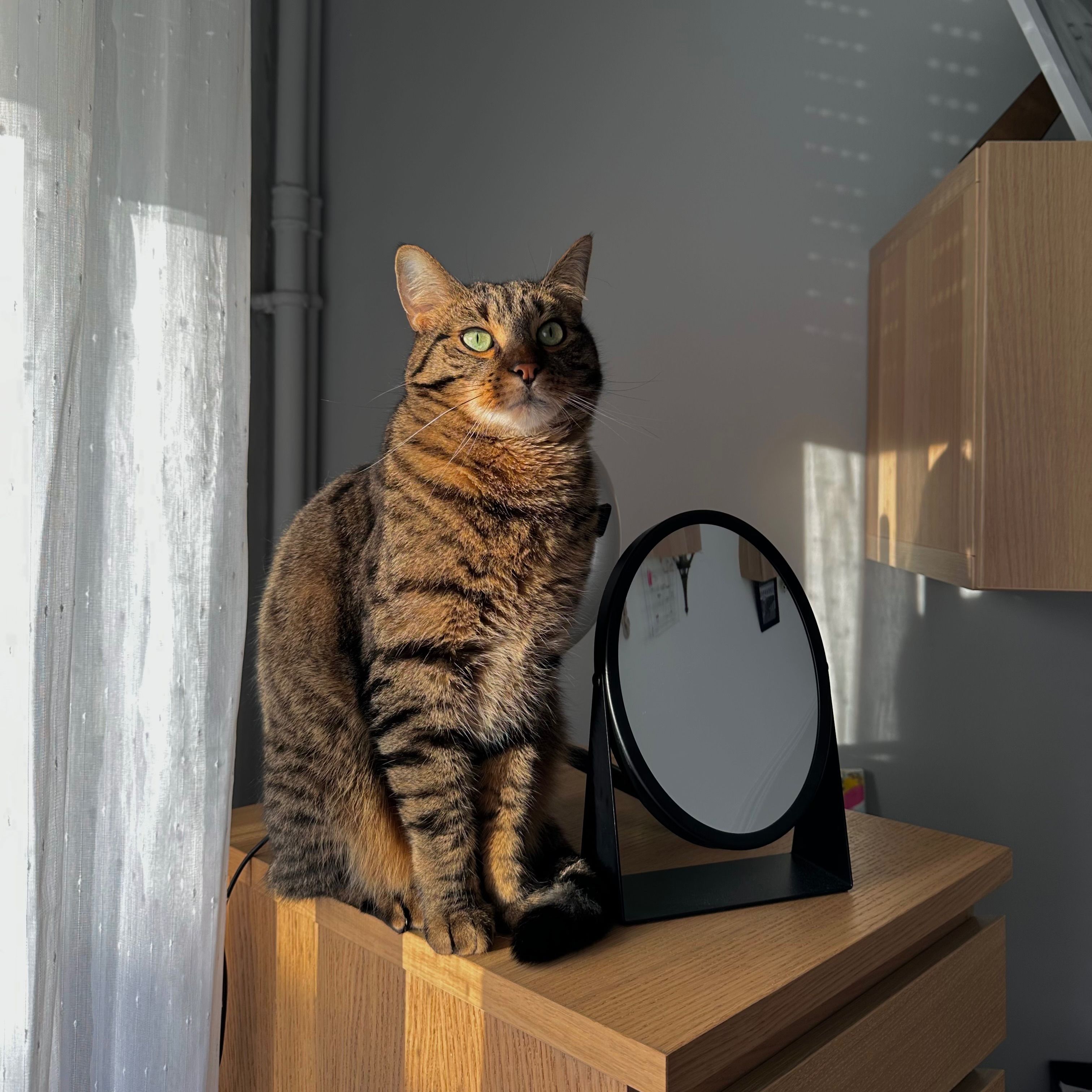 Simba