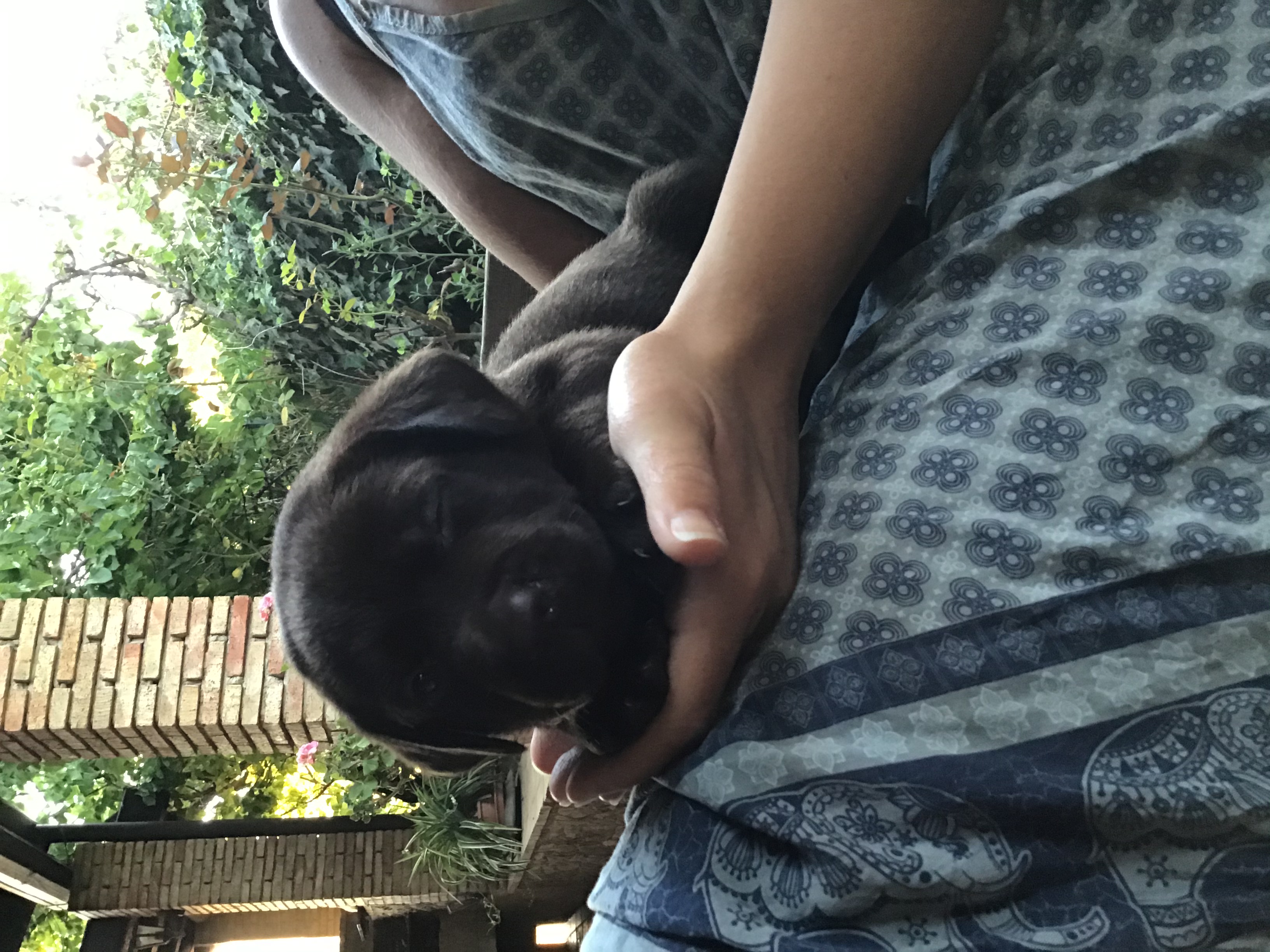 image-5