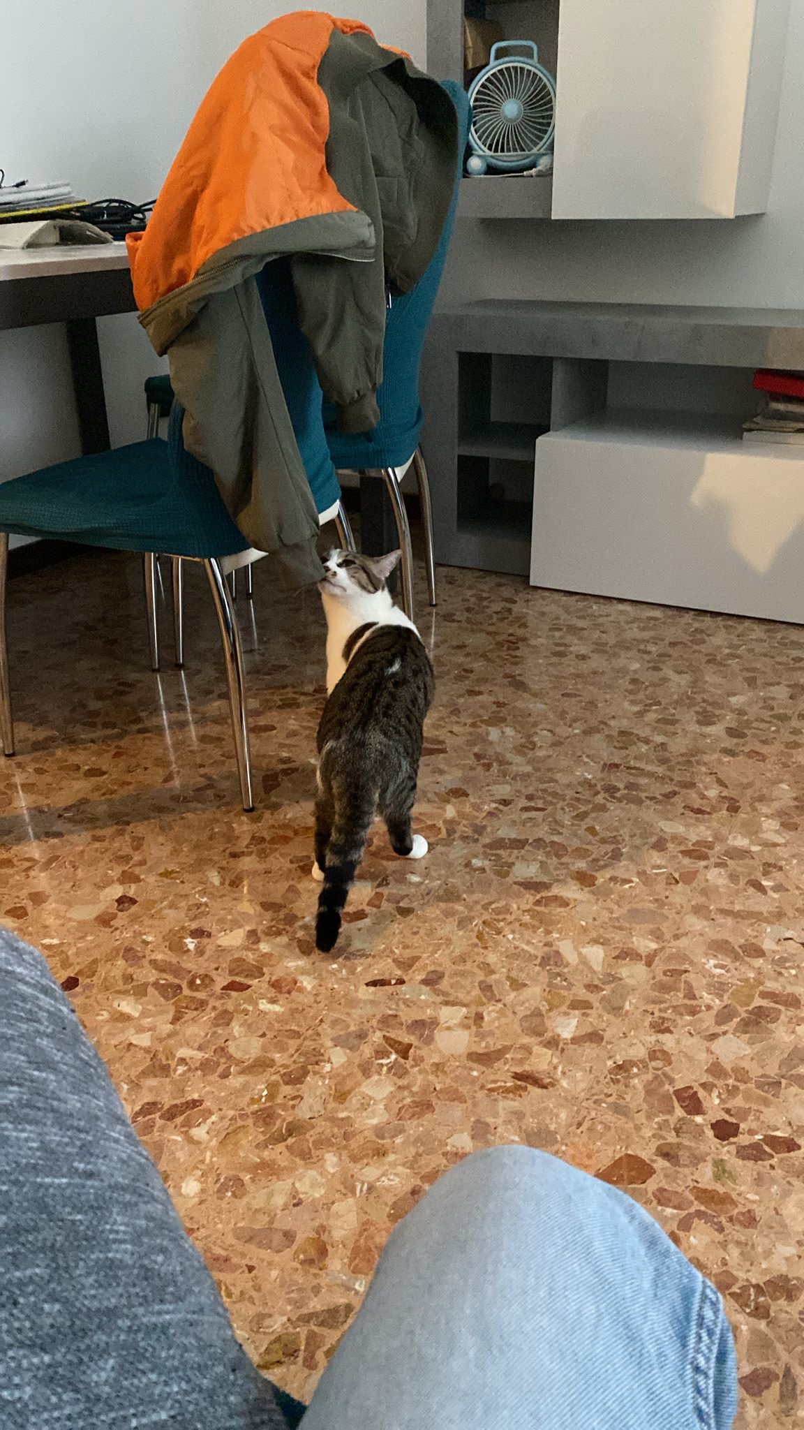 image-8