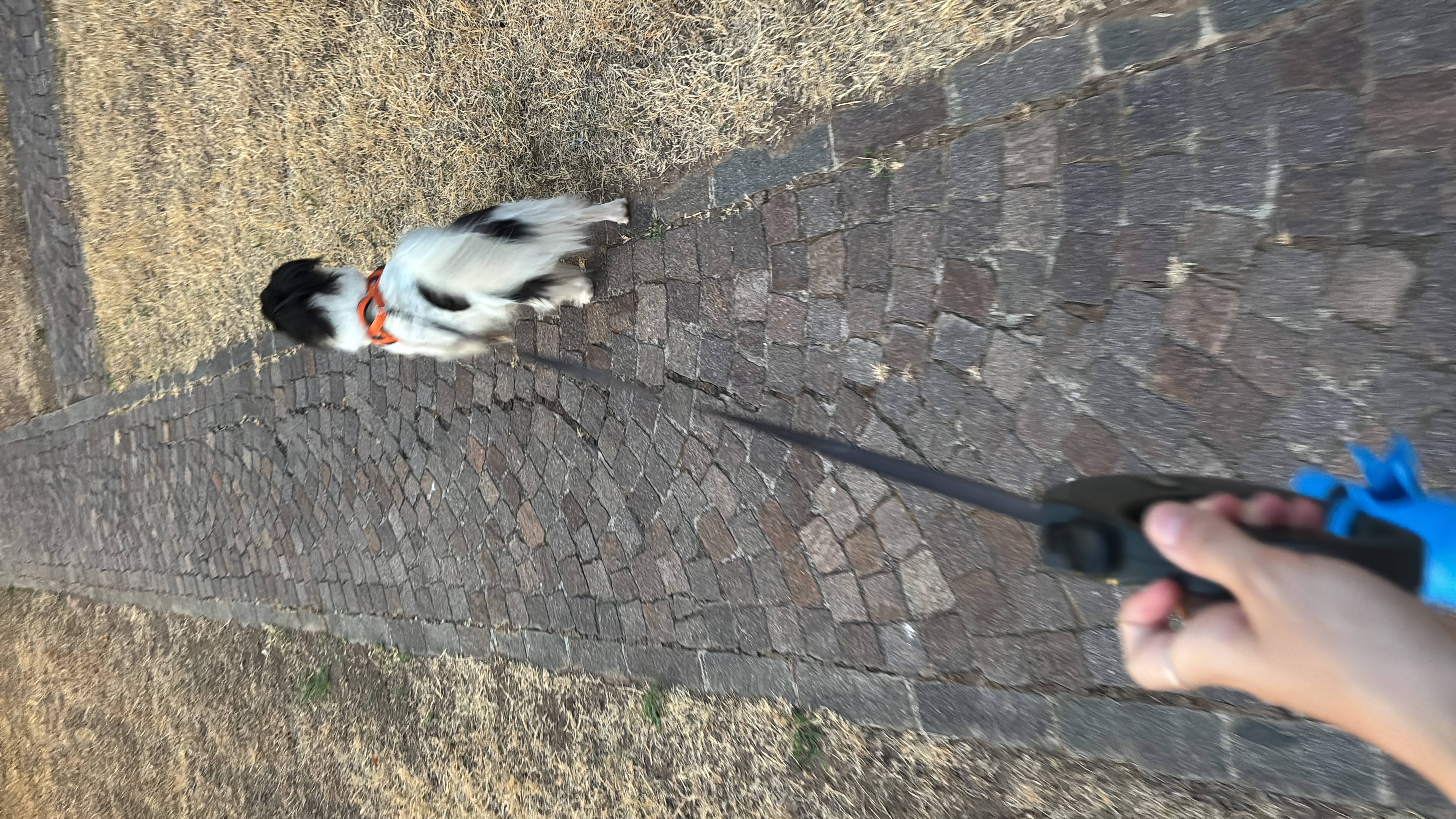 image-7