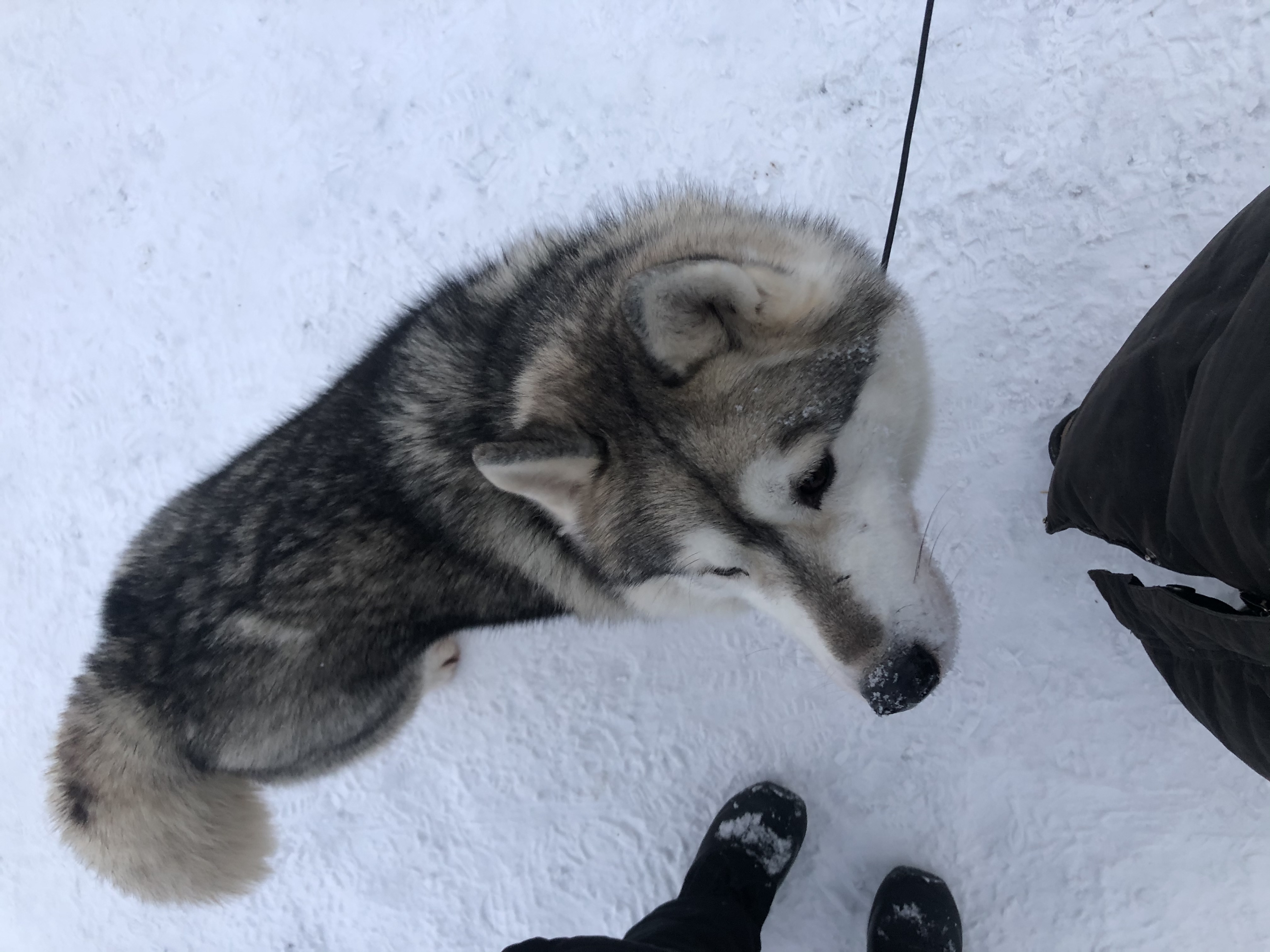 image-8