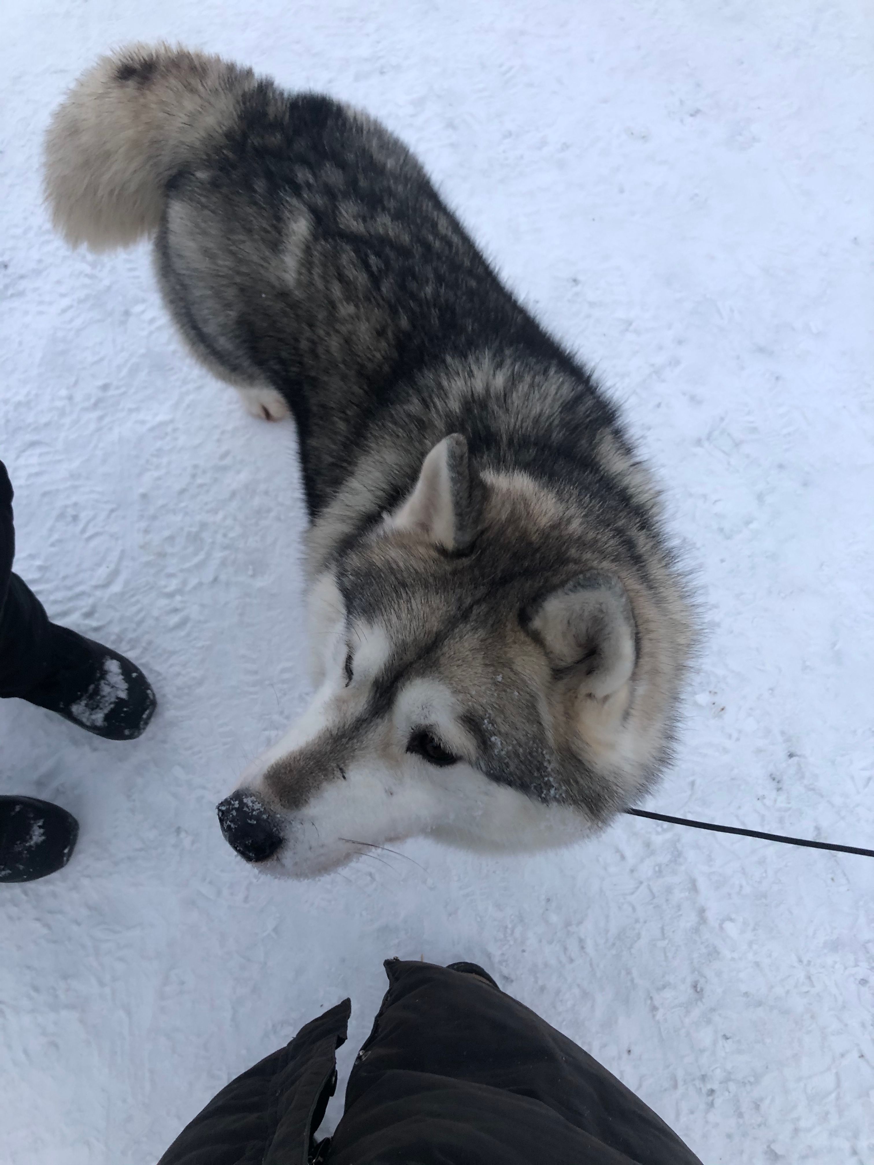 image-8
