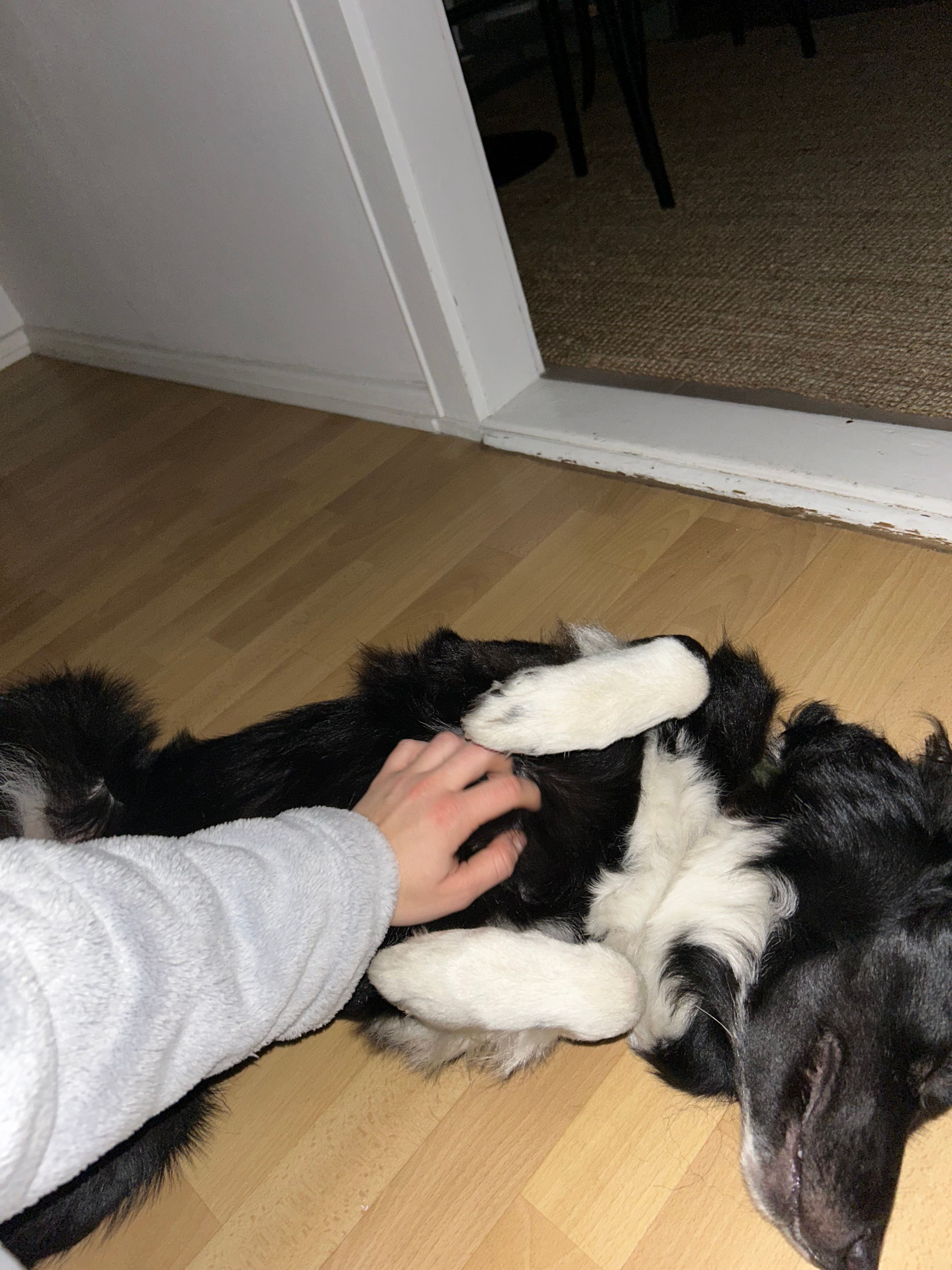 image-7