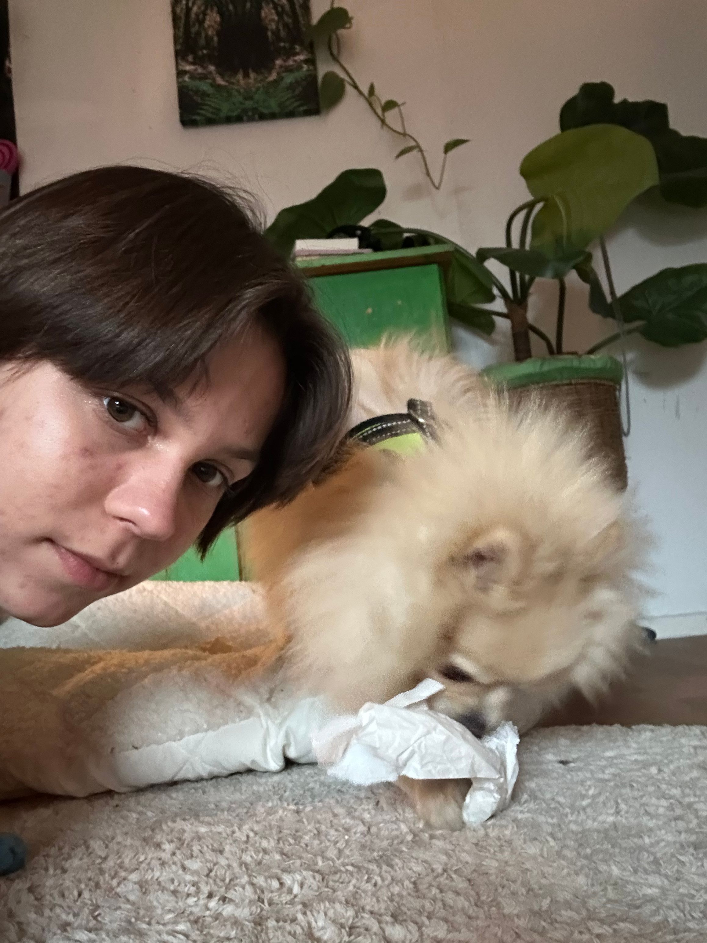 image-11