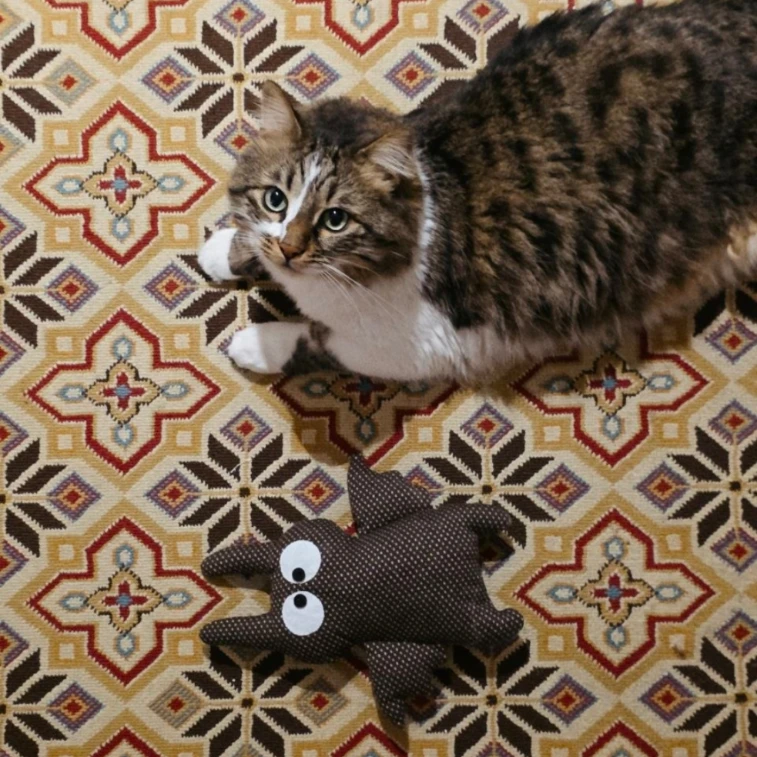 Milo 