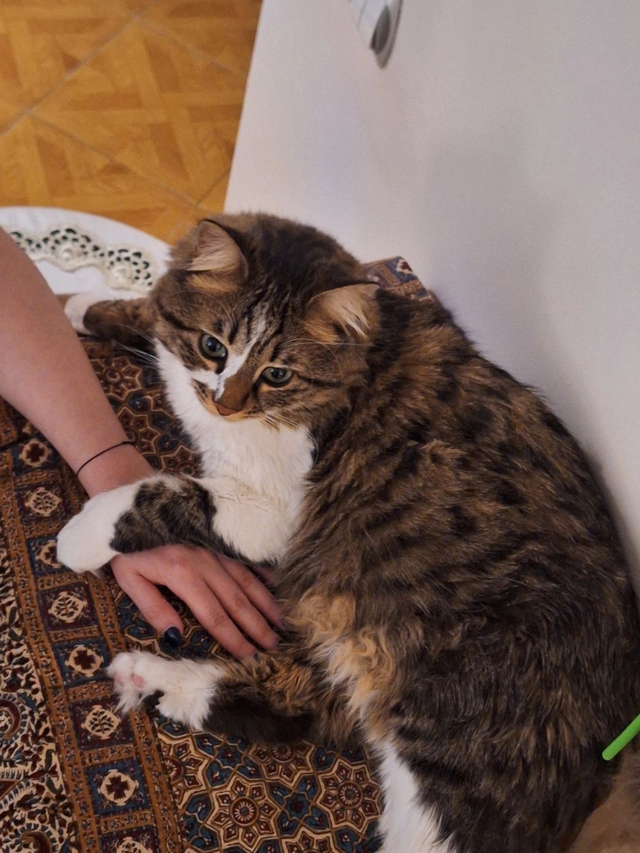 image-11