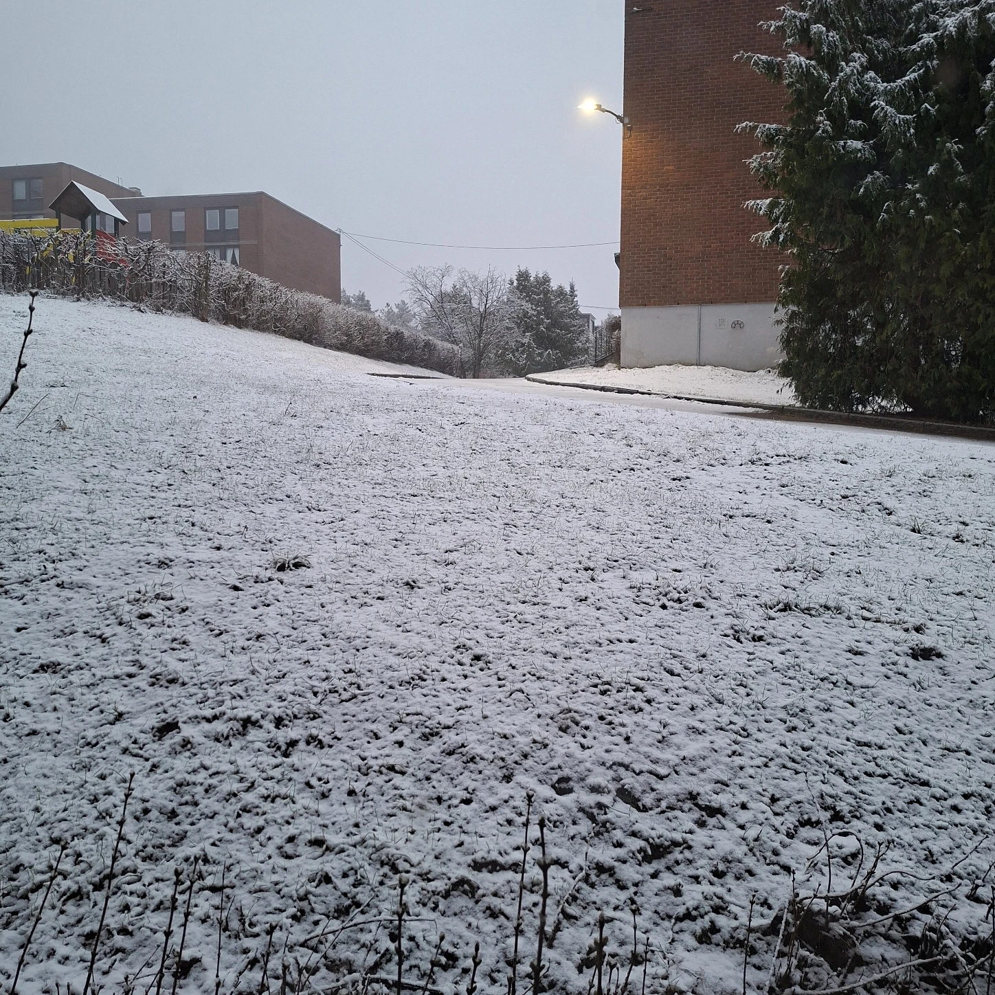 image-12