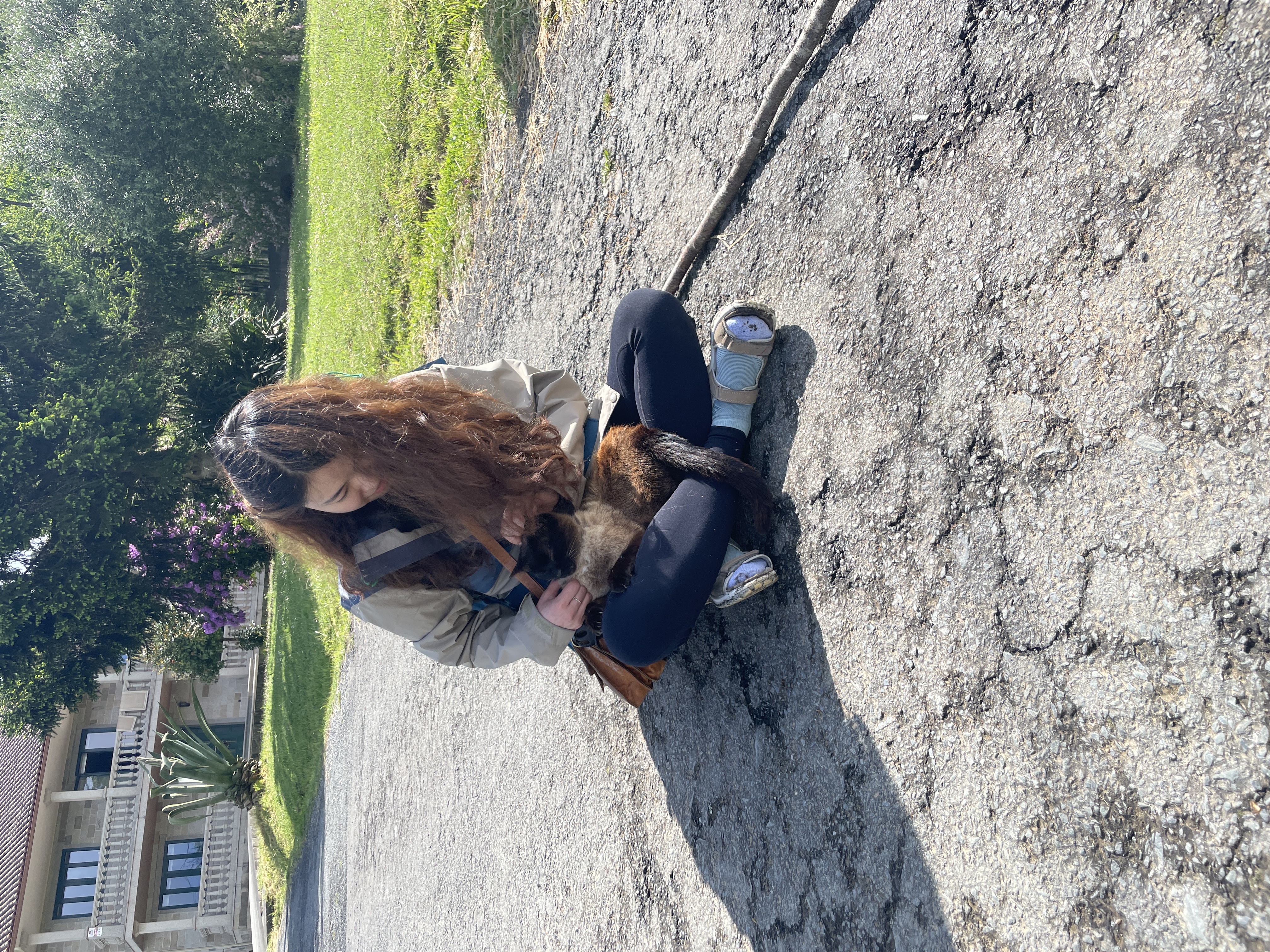 image-3