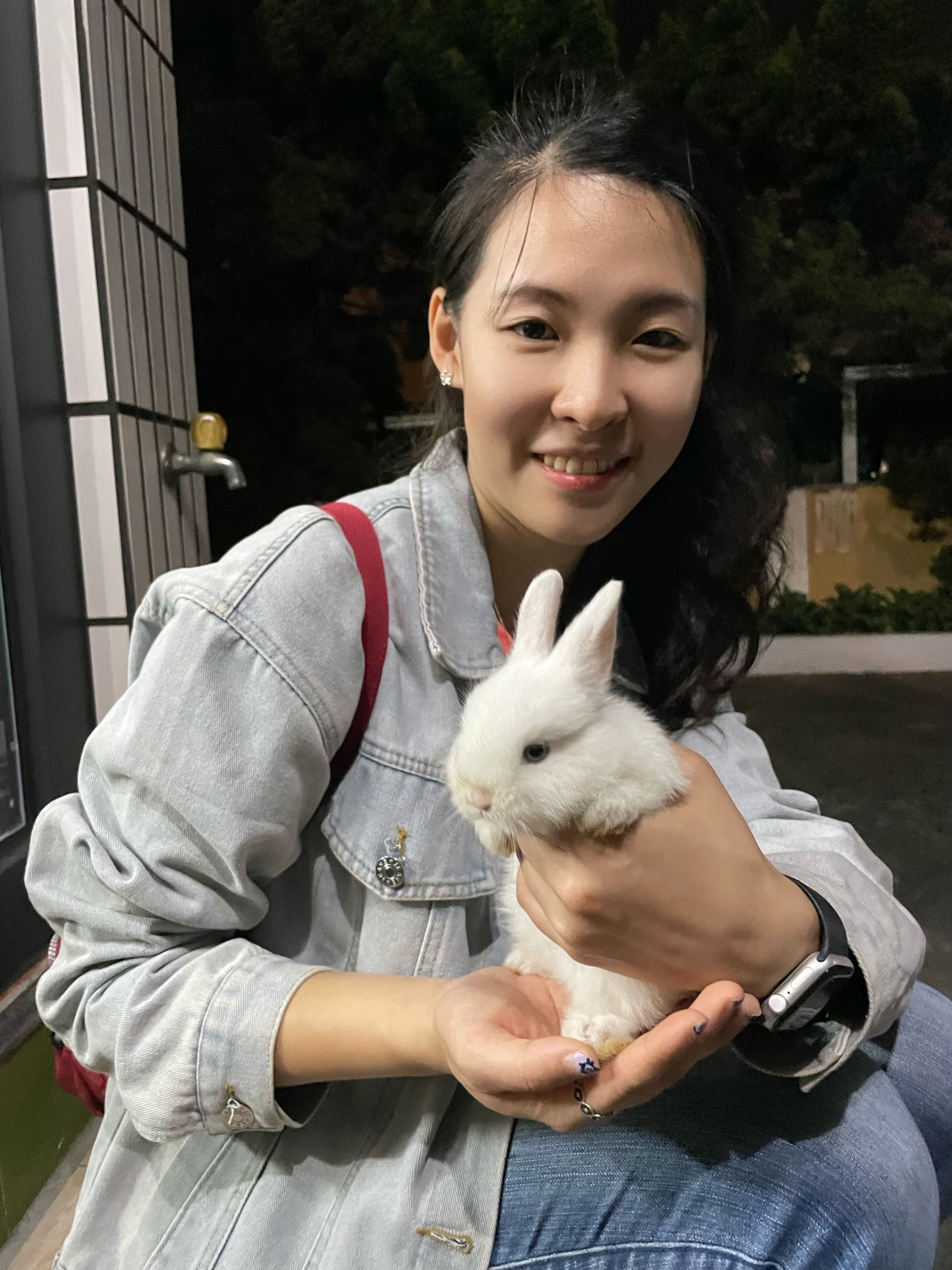 image-6