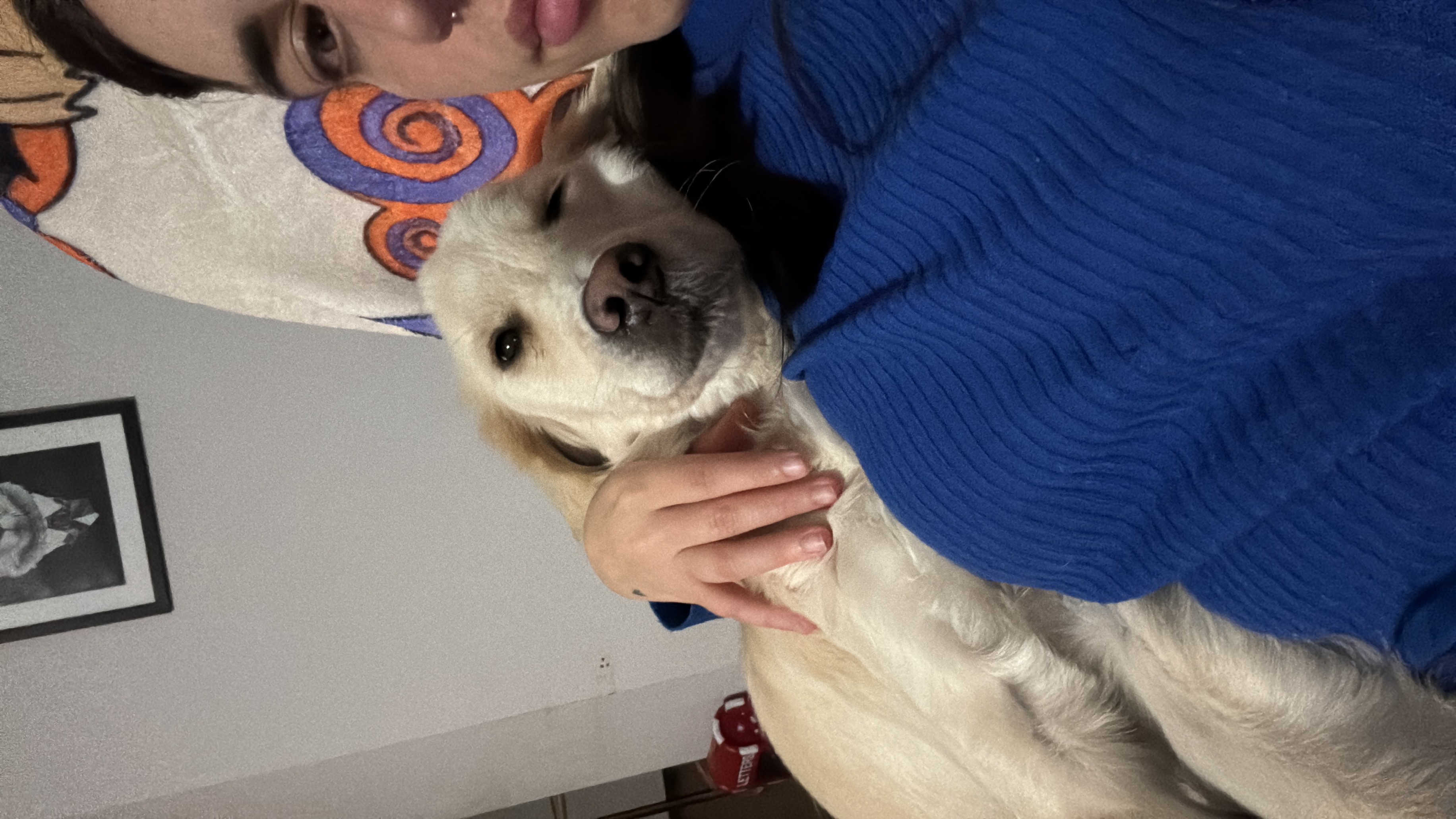 image-4