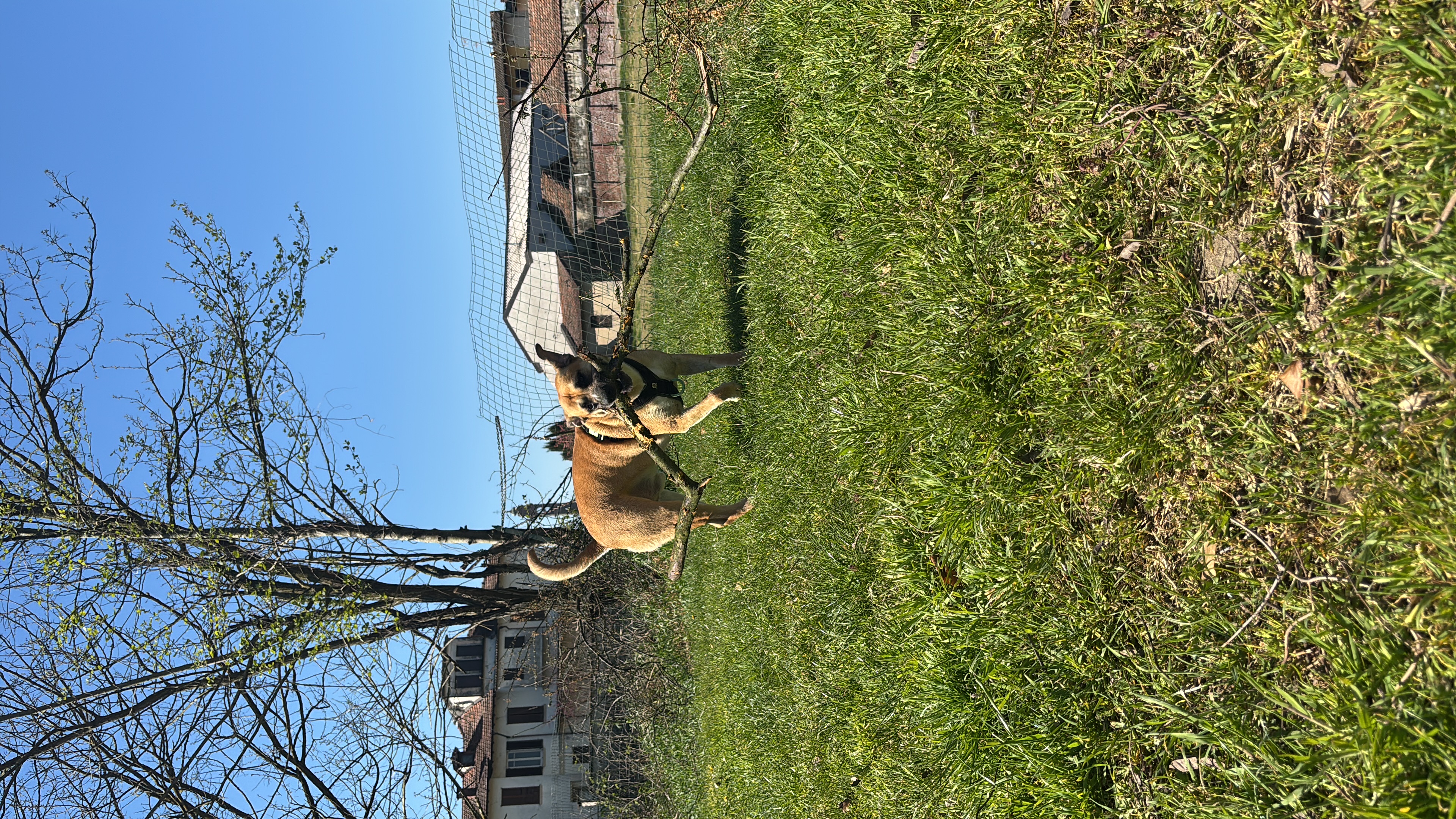 image-14