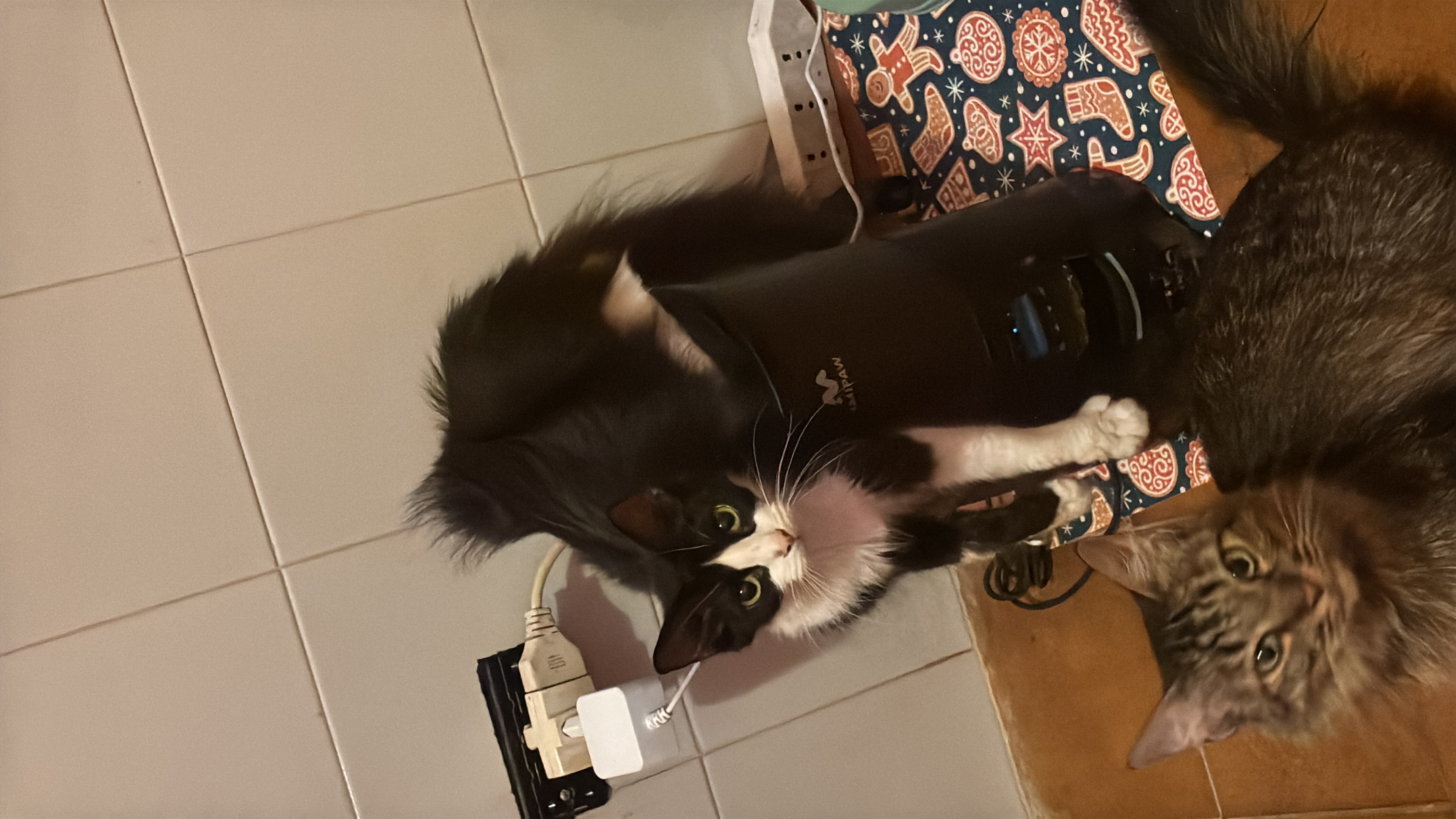 image-9