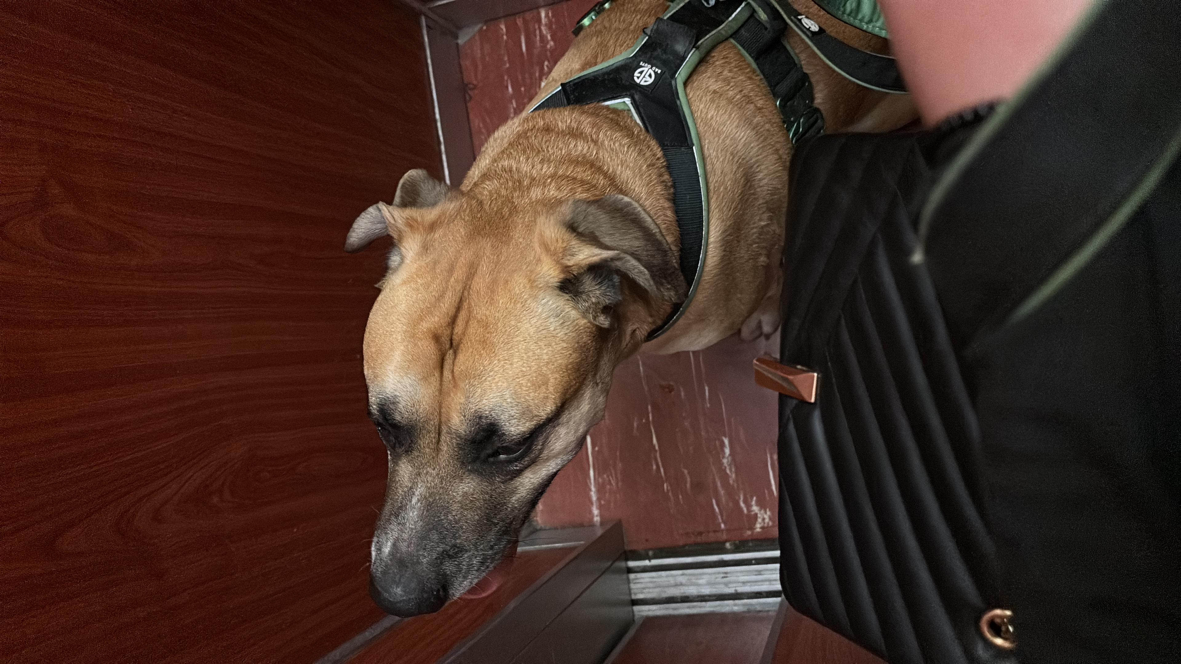 image-10