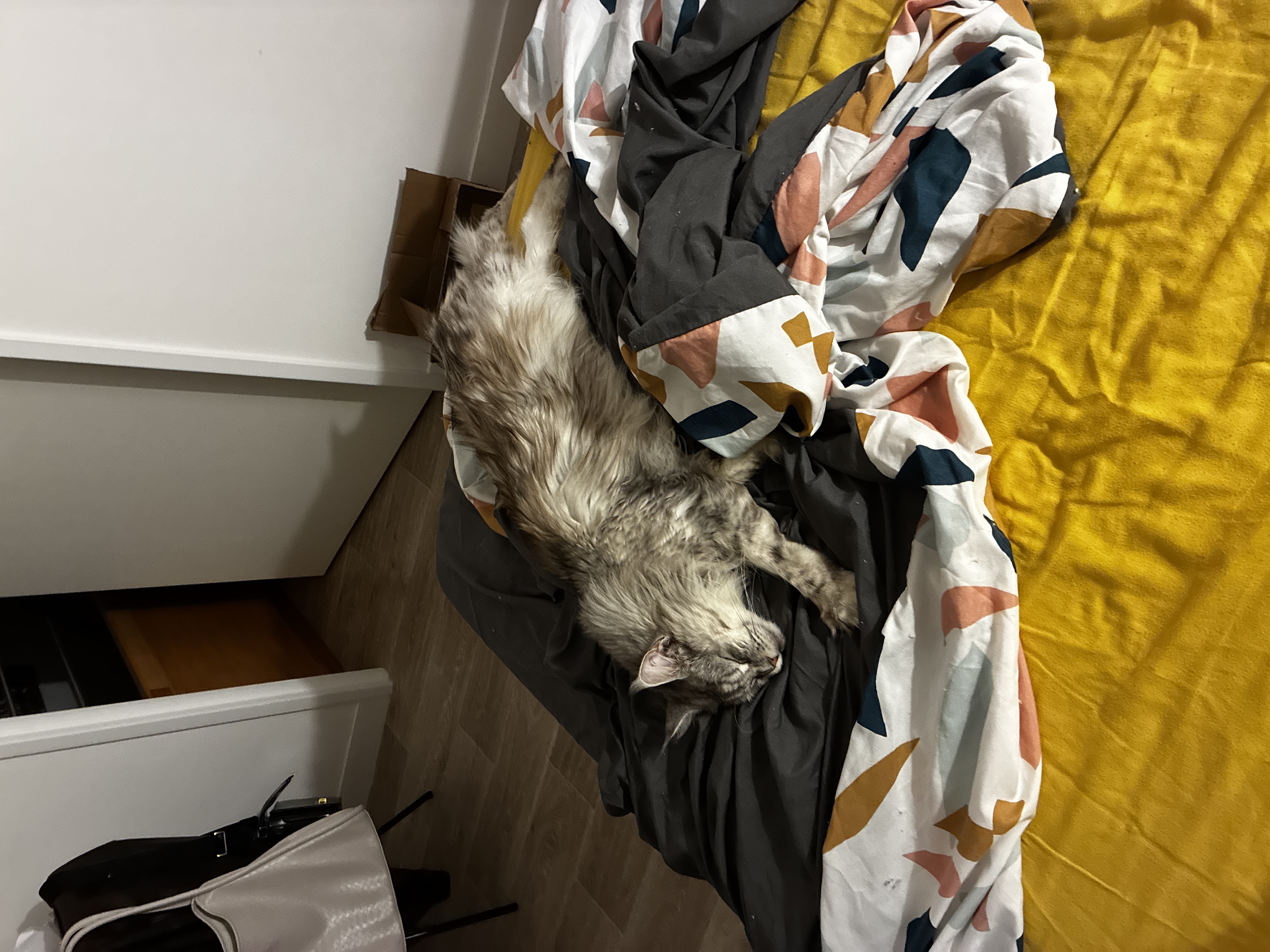 image-8