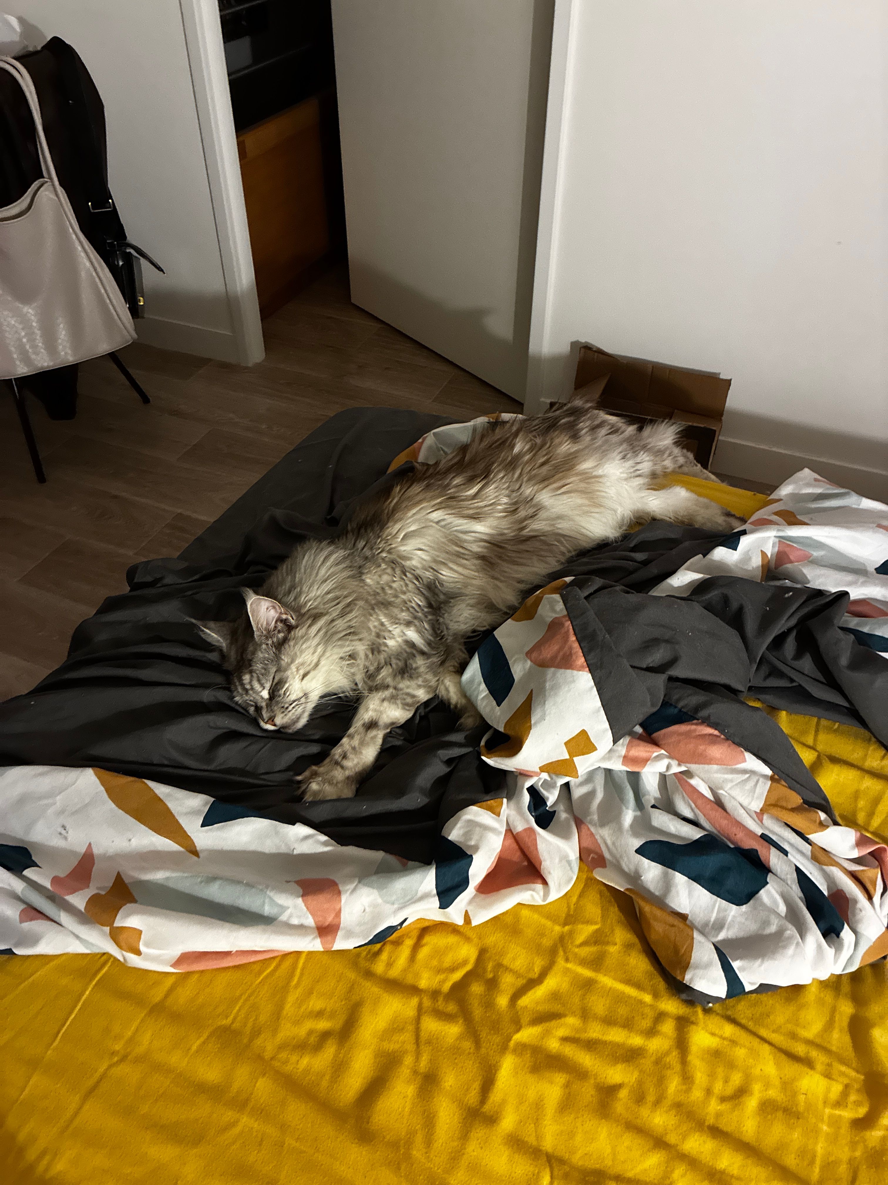 image-8