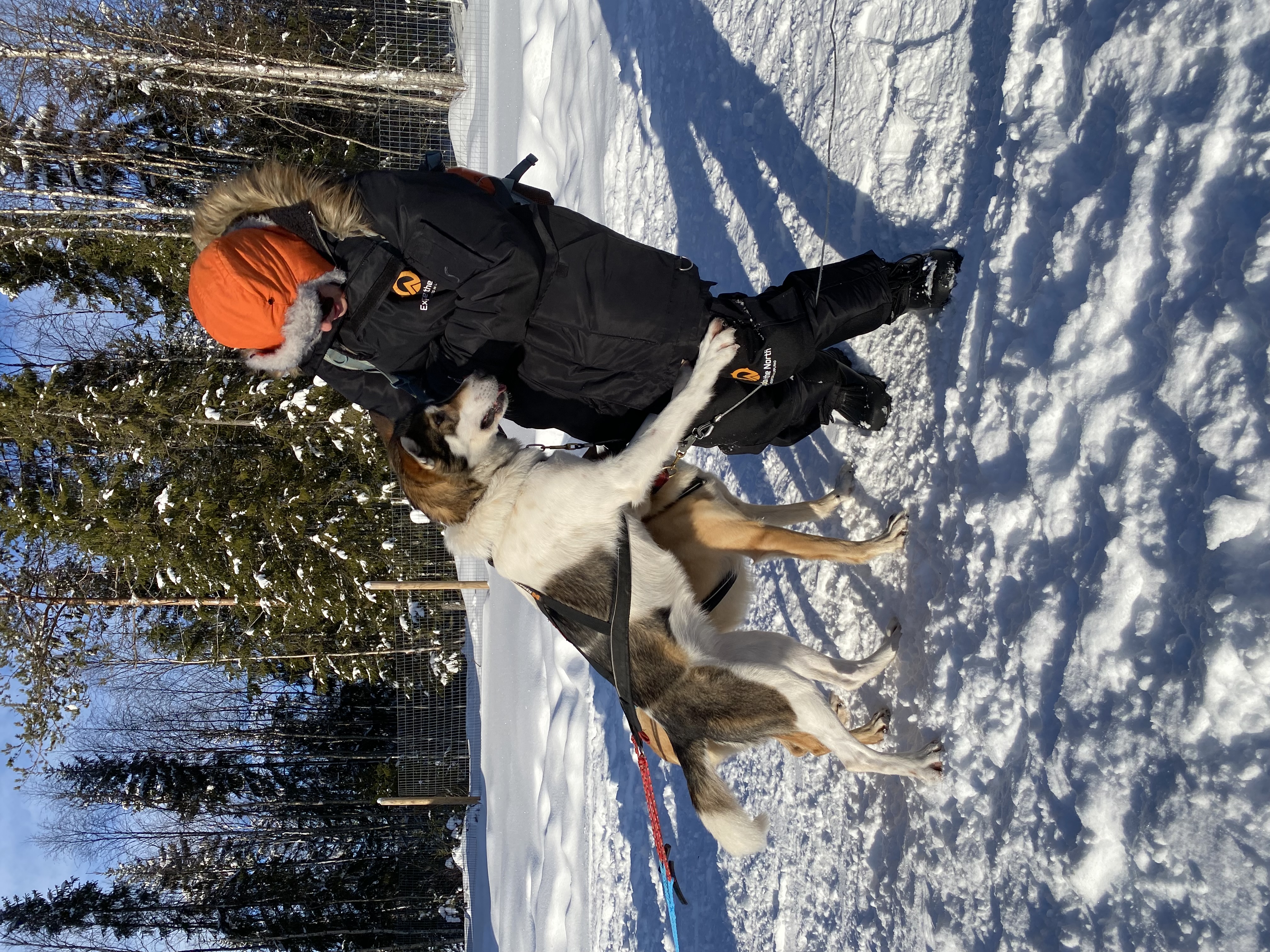 image-5