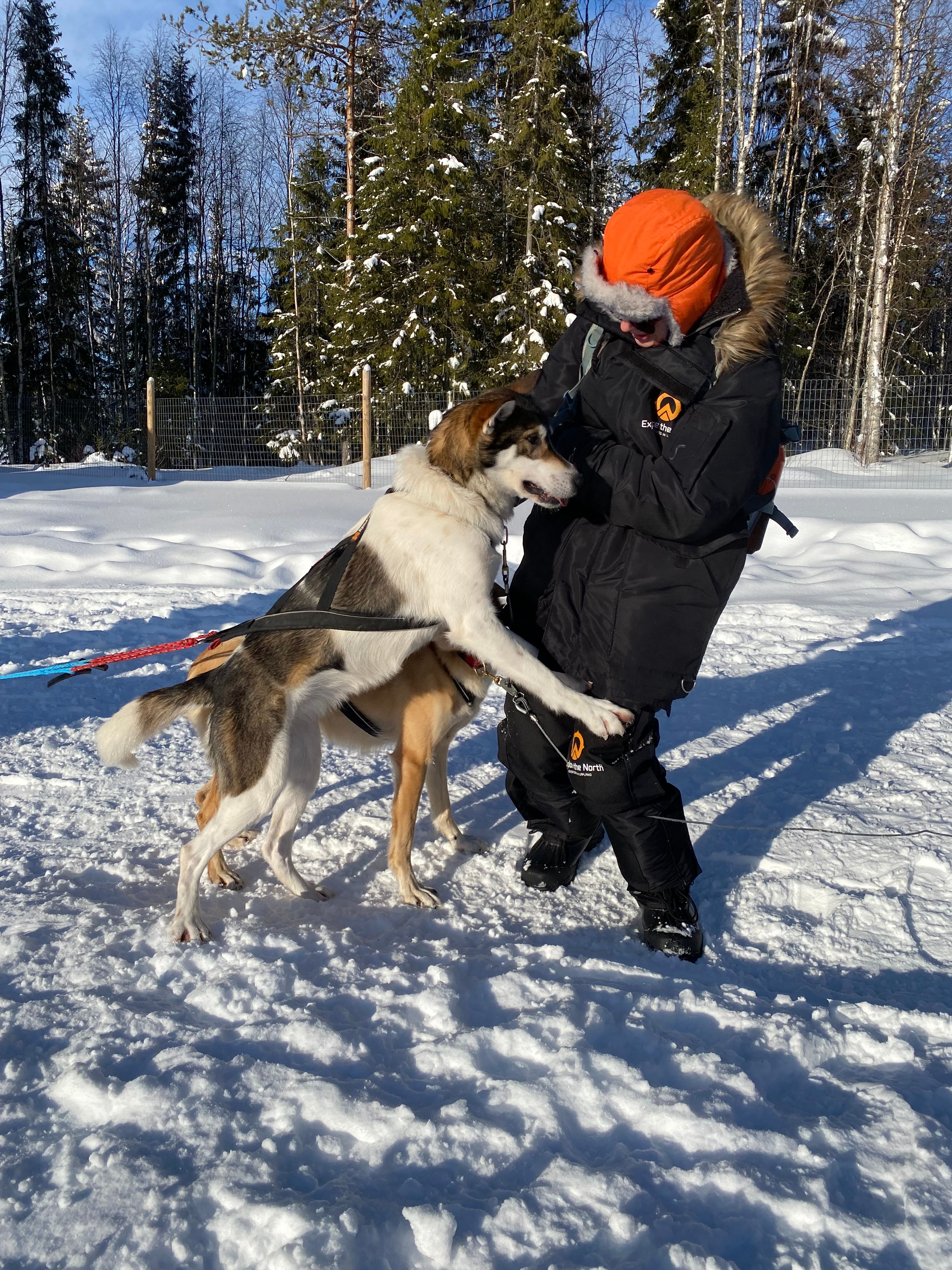 image-5