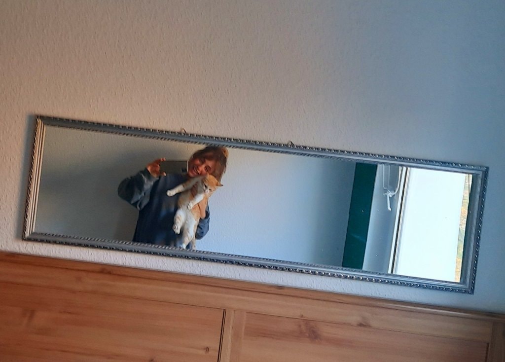 image-27