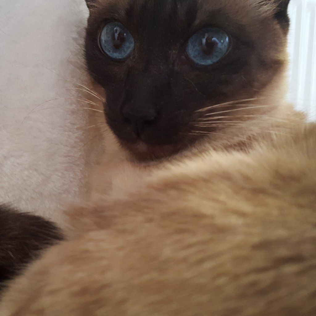 Matilda
