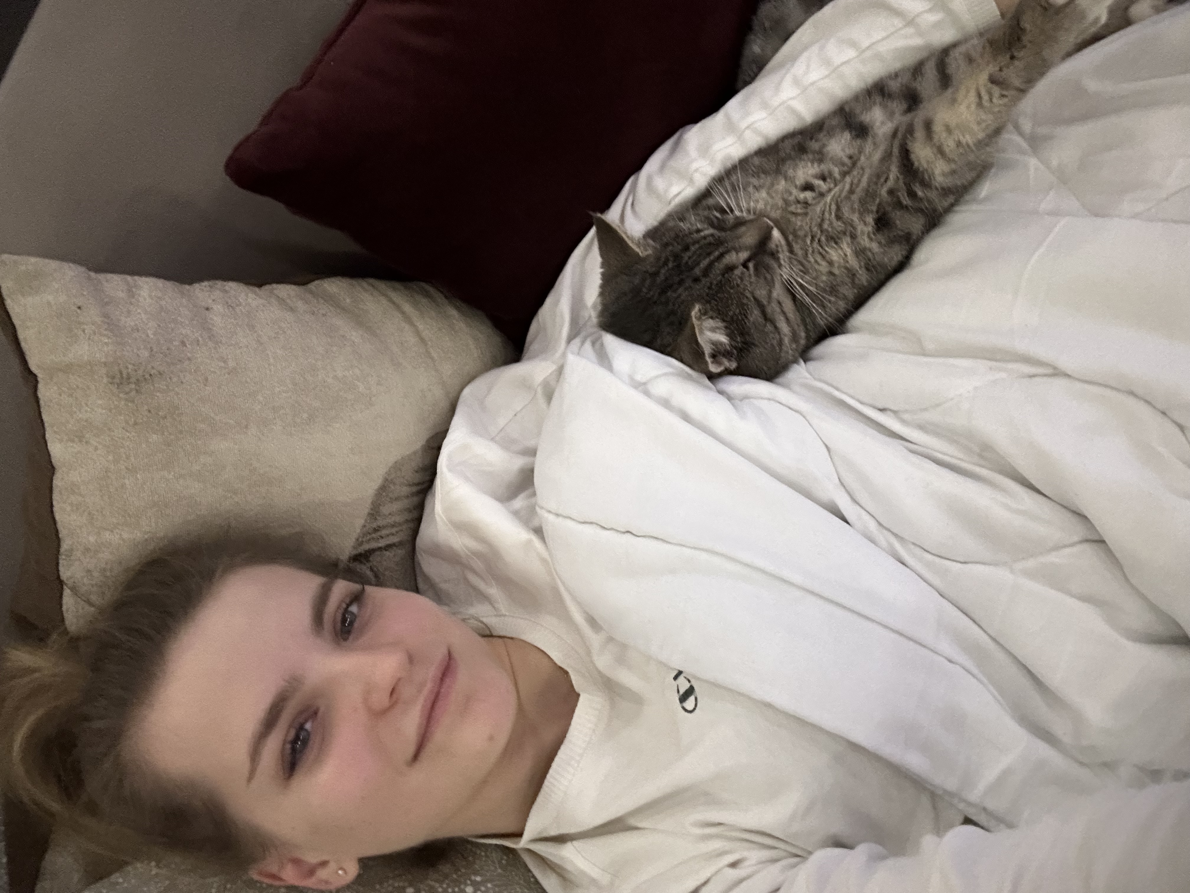 image-8