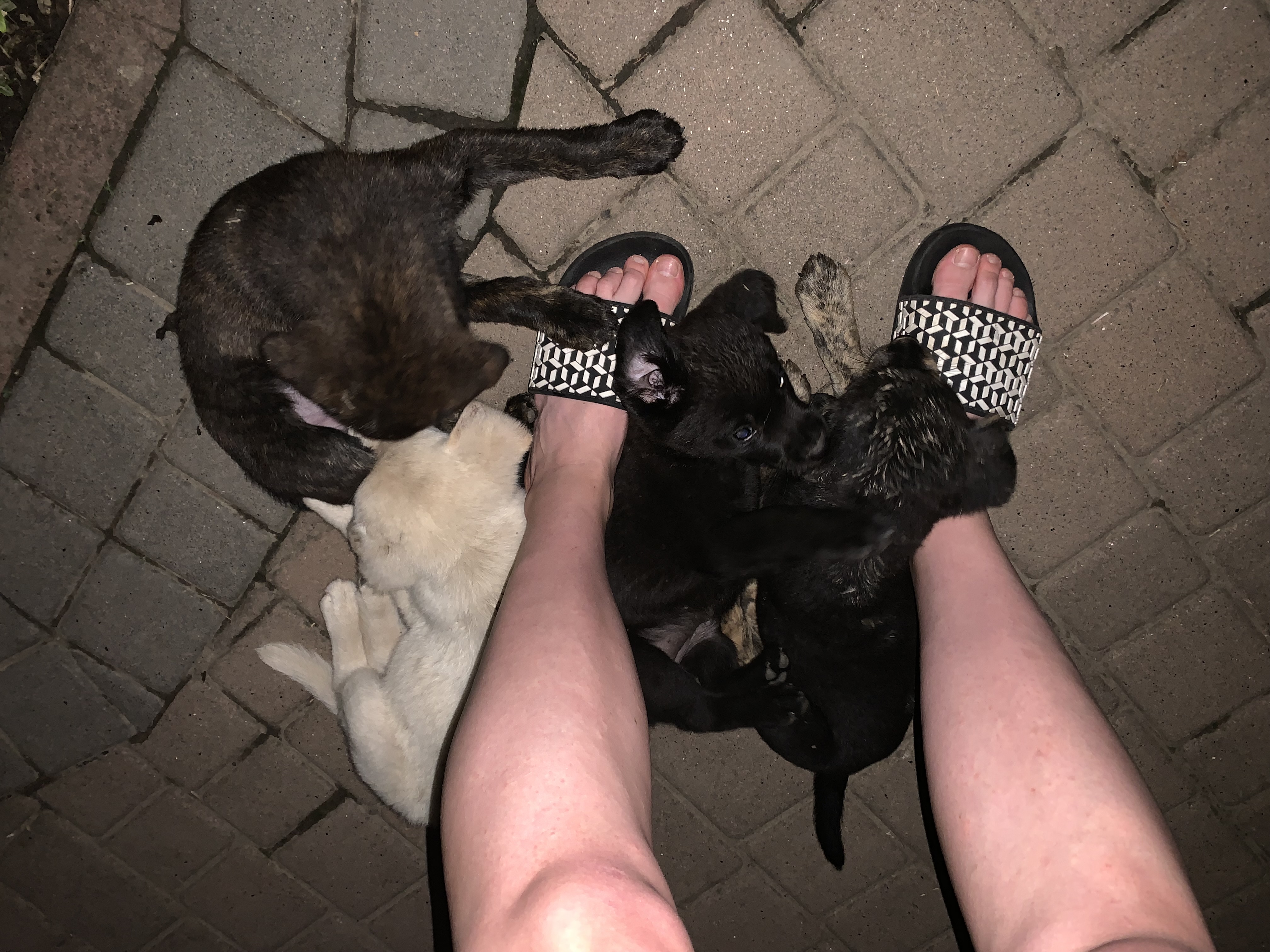 image-10