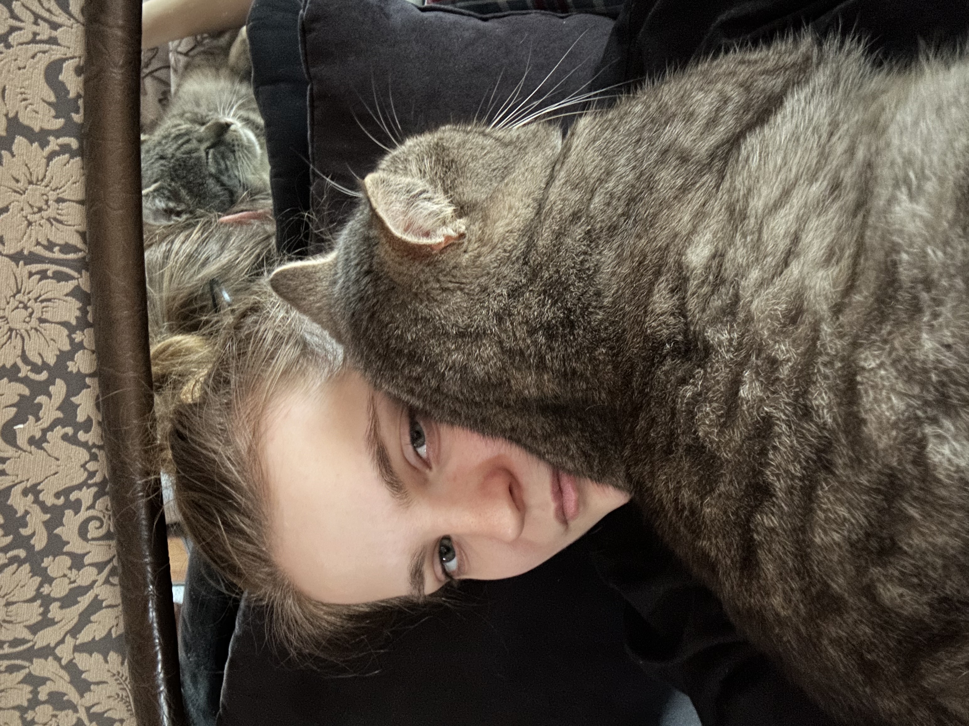 image-6