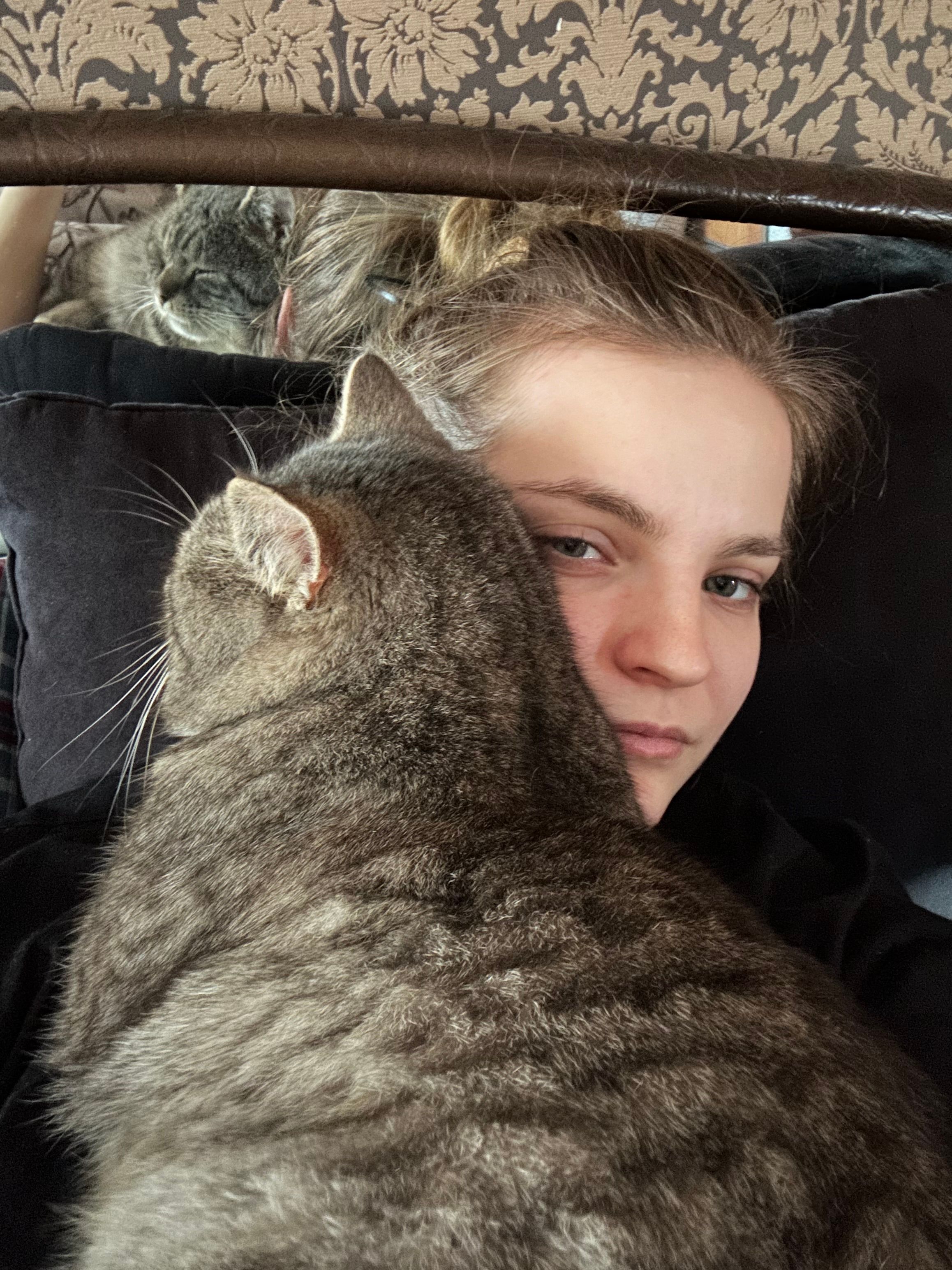 image-6