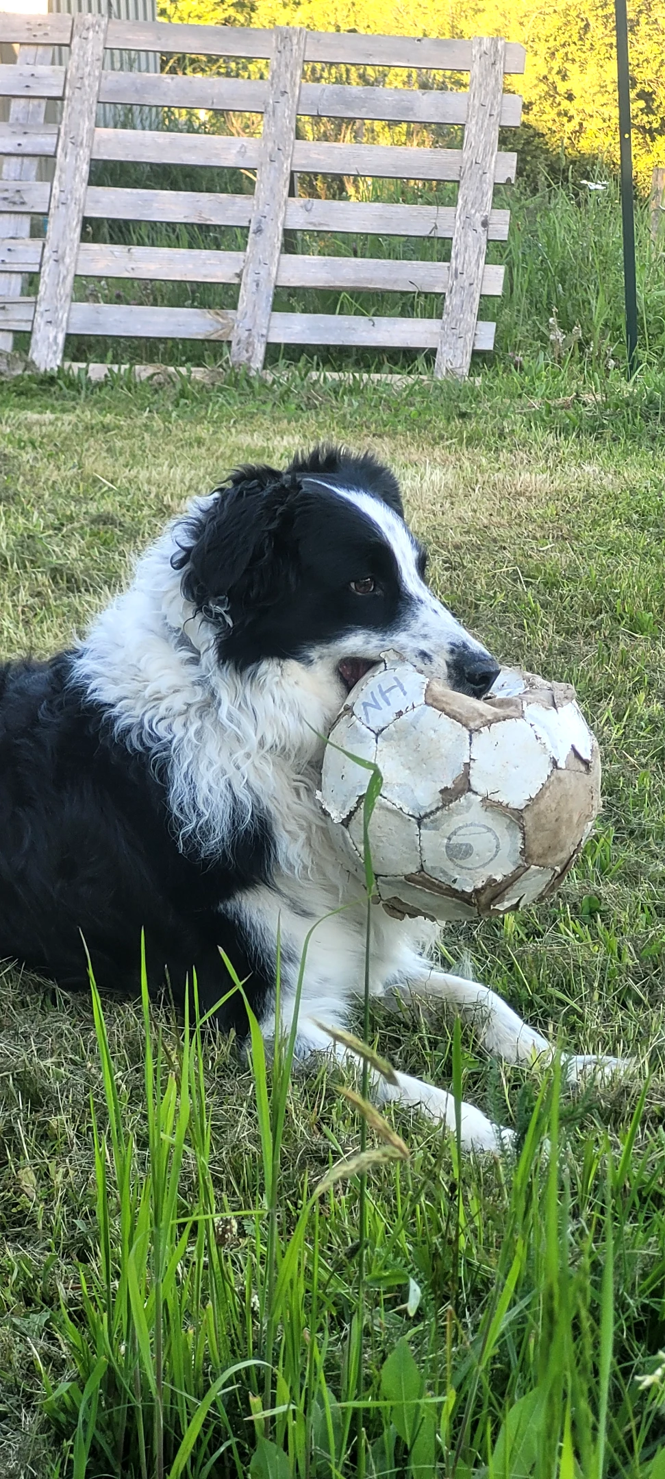 image-6