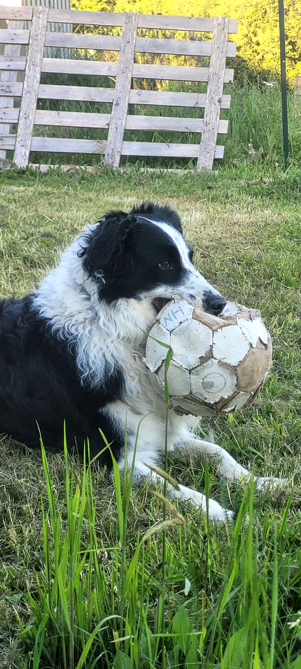 image-6