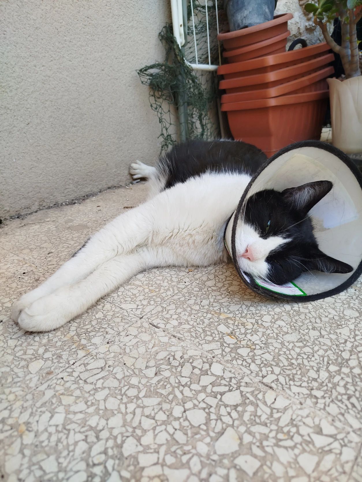 image-8