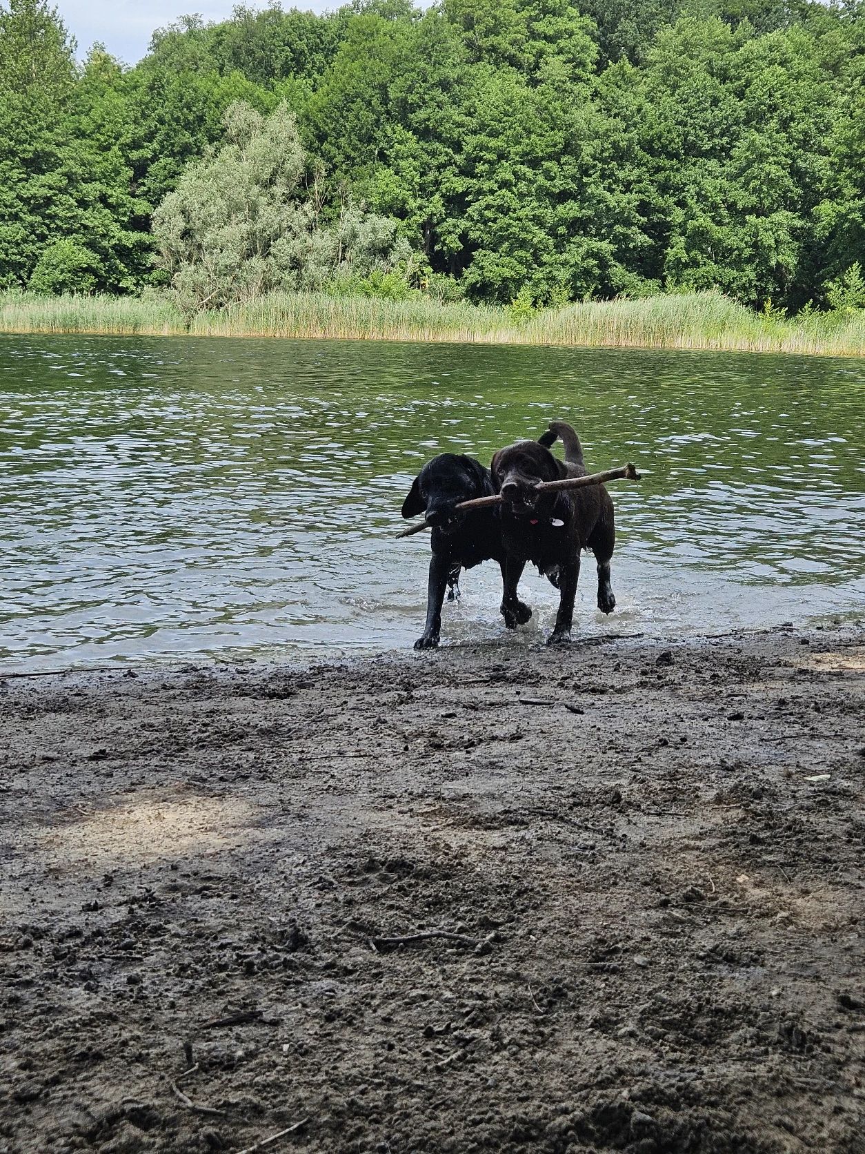 image-5
